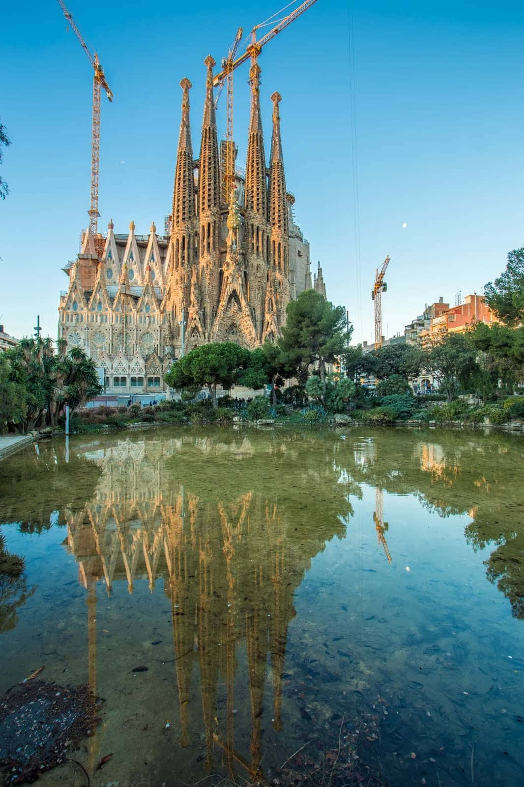 Barcelona 桌布 壁紙 — 巴塞隆納的聖家堂大教堂在晴朗藍天下倒映在寧靜的池塘中，建築起重機清晰可見。