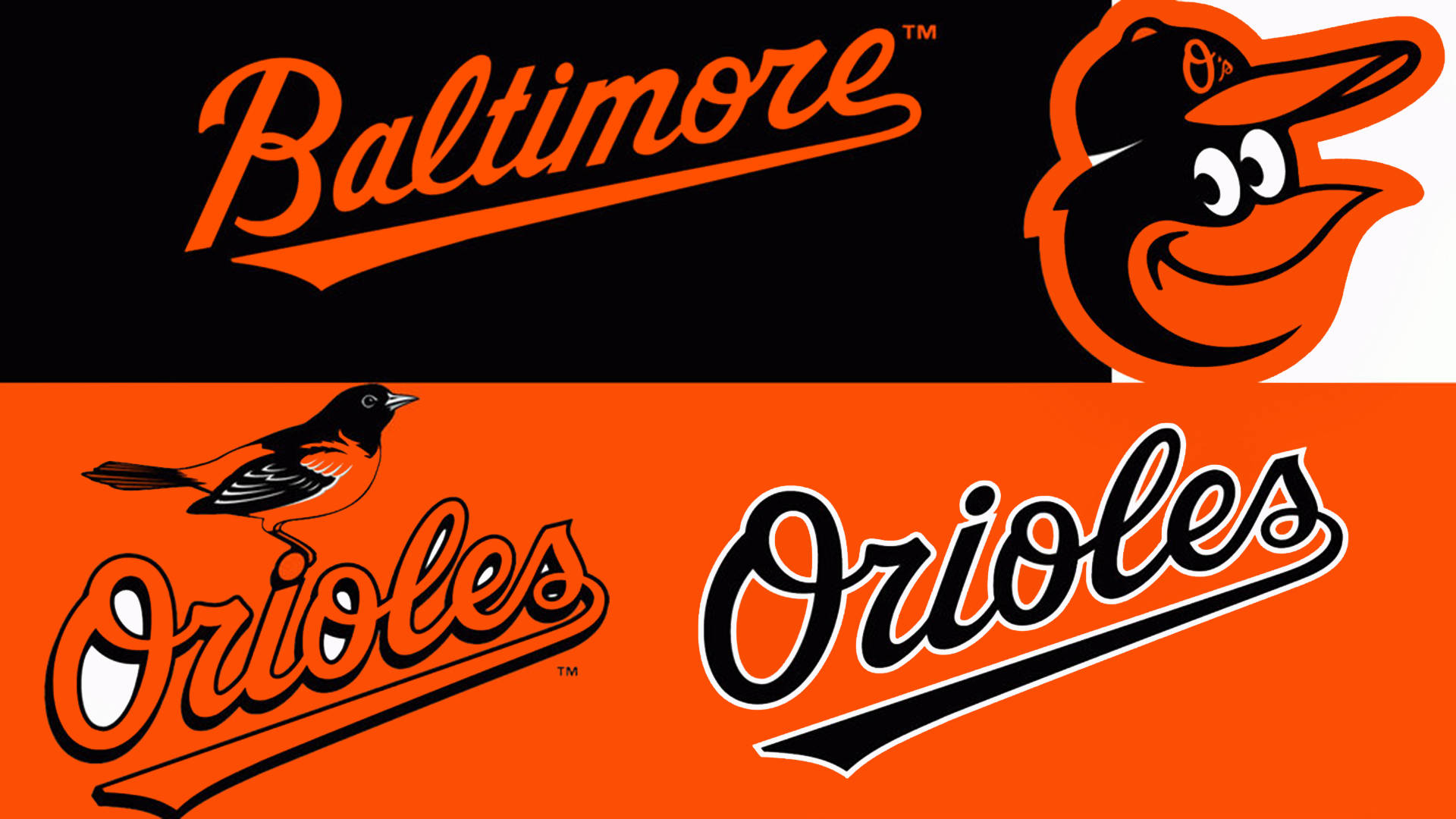 Orioles 桌布 壁紙 — 巴爾的摩金鶯隊標誌歷史，以橙色和黑色的鳥吉祥物及手寫文字在對比背景上呈現。