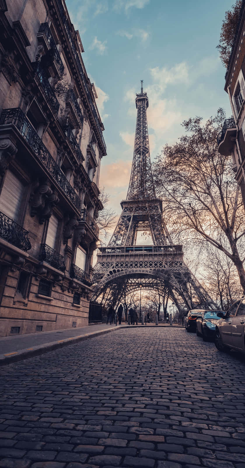 Paris Eiffel Tower 桌布 壁紙 — 巴黎一條低角度鵝卵石街道通向高聳的艾菲爾鐵塔，兩旁是歷史建築和光禿禿的樹木，在柔和的暮色天空下。