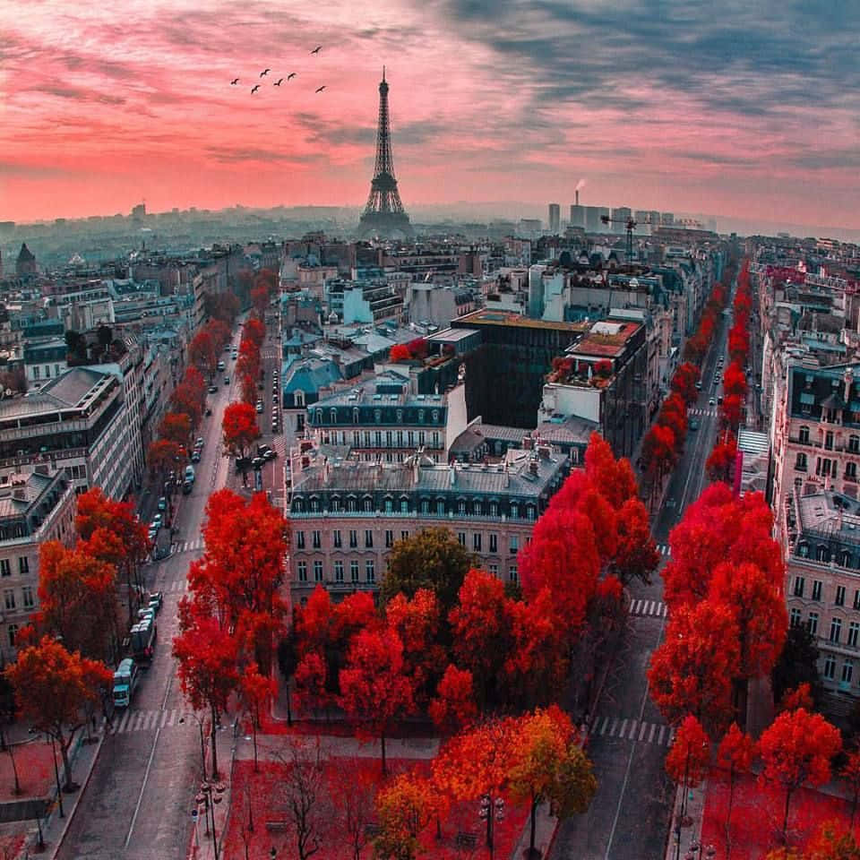 France 桌布 壁紙 — 巴黎日落時的鳥瞰圖，艾菲爾鐵塔聳立在兩旁種滿火紅秋樹的街道上。
