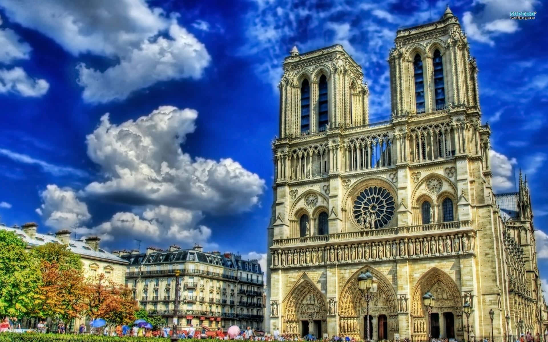 Europe 桌布 壁紙 — 巴黎聖母院在充滿活力的藍天下，伴隨著蓬鬆的白雲和附近的秋樹，雄偉地矗立著。
