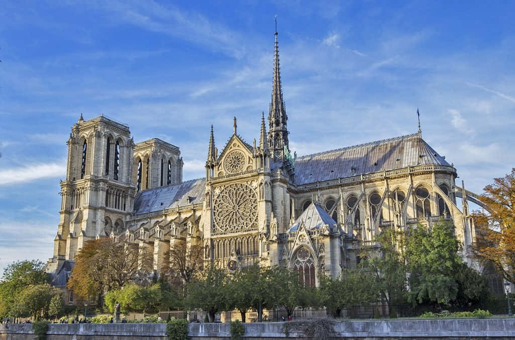 Gothic Architecture 桌布 壁紙 — 巴黎聖母院在明亮的藍天下巍然聳立，縷縷白雲和秋日樹木襯托著其哥德式建築。