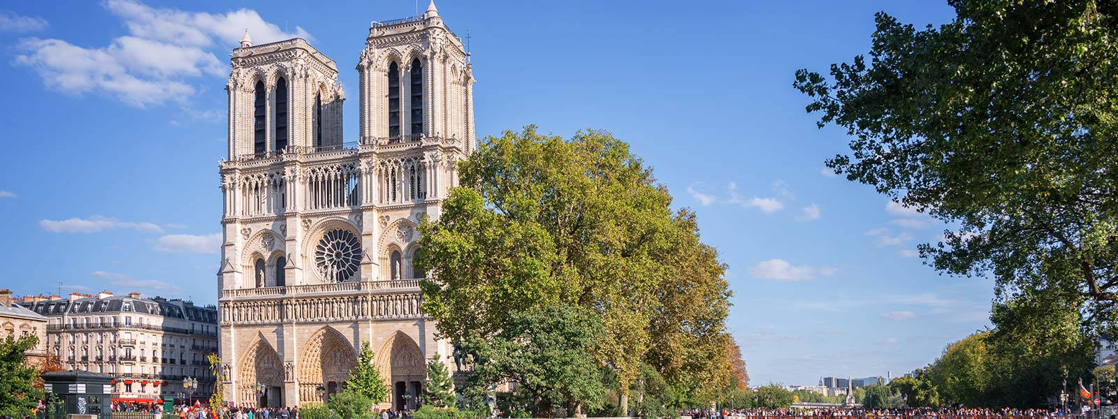 Notre Dame 桌布 壁紙 — 巴黎聖母院在明亮的藍天下雄偉矗立，茂密的綠樹襯托著其哥德式建築。