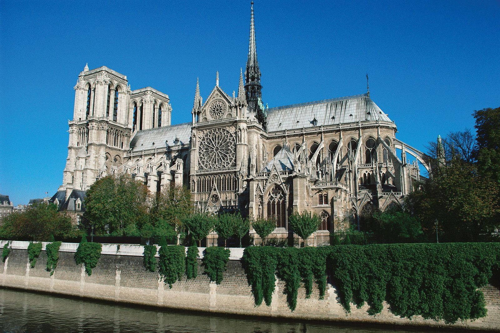 Notre Dame 桌布 壁紙 — 巴黎聖母院在清澈的藍天下雄偉矗立，其精緻的哥德式建築倒映在塞納河中。