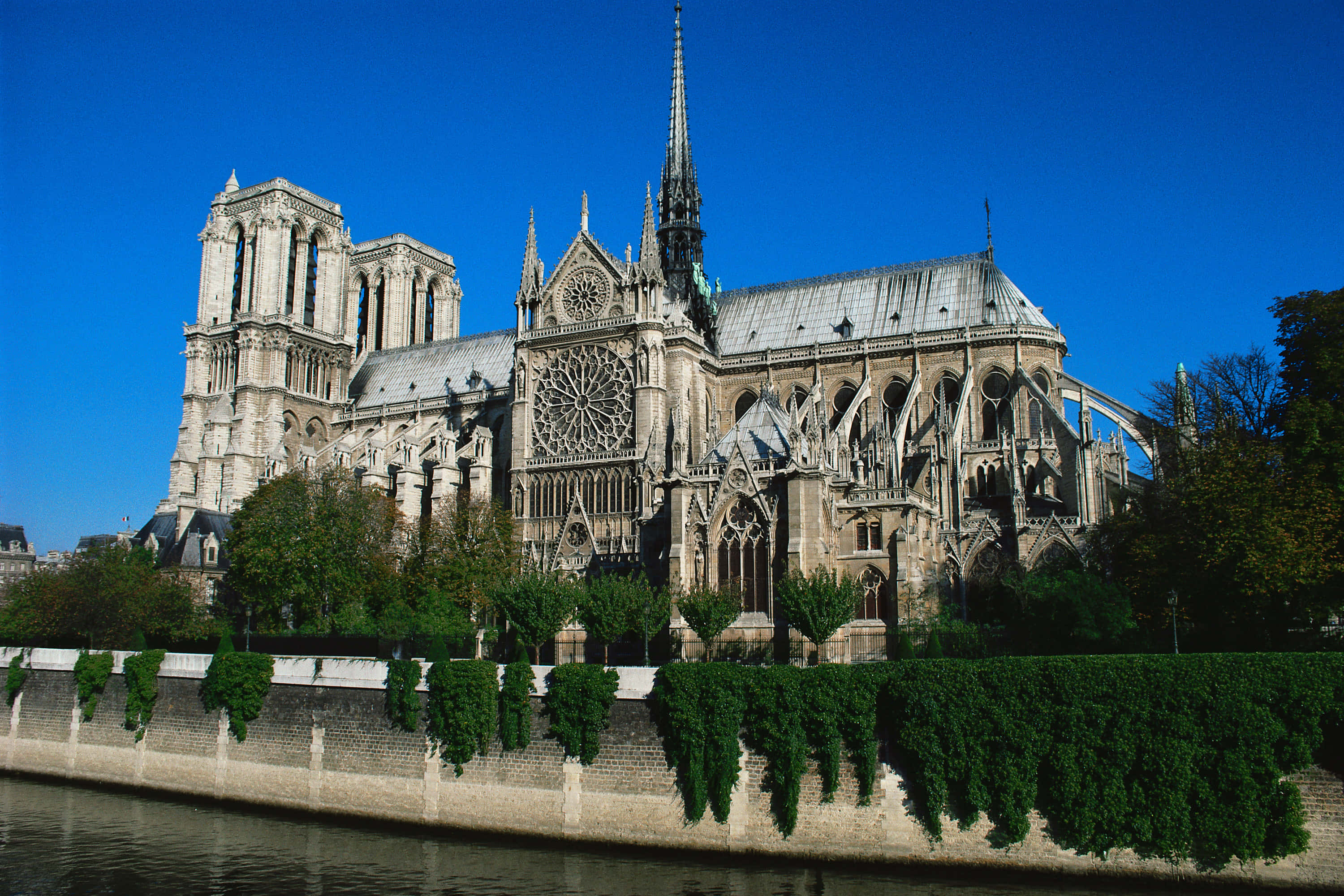 Notre Dame 桌布 壁紙 — 巴黎聖母院在清澈的藍天下雄偉矗立，其複雜的哥德式建築倒映在下面的塞納河中。