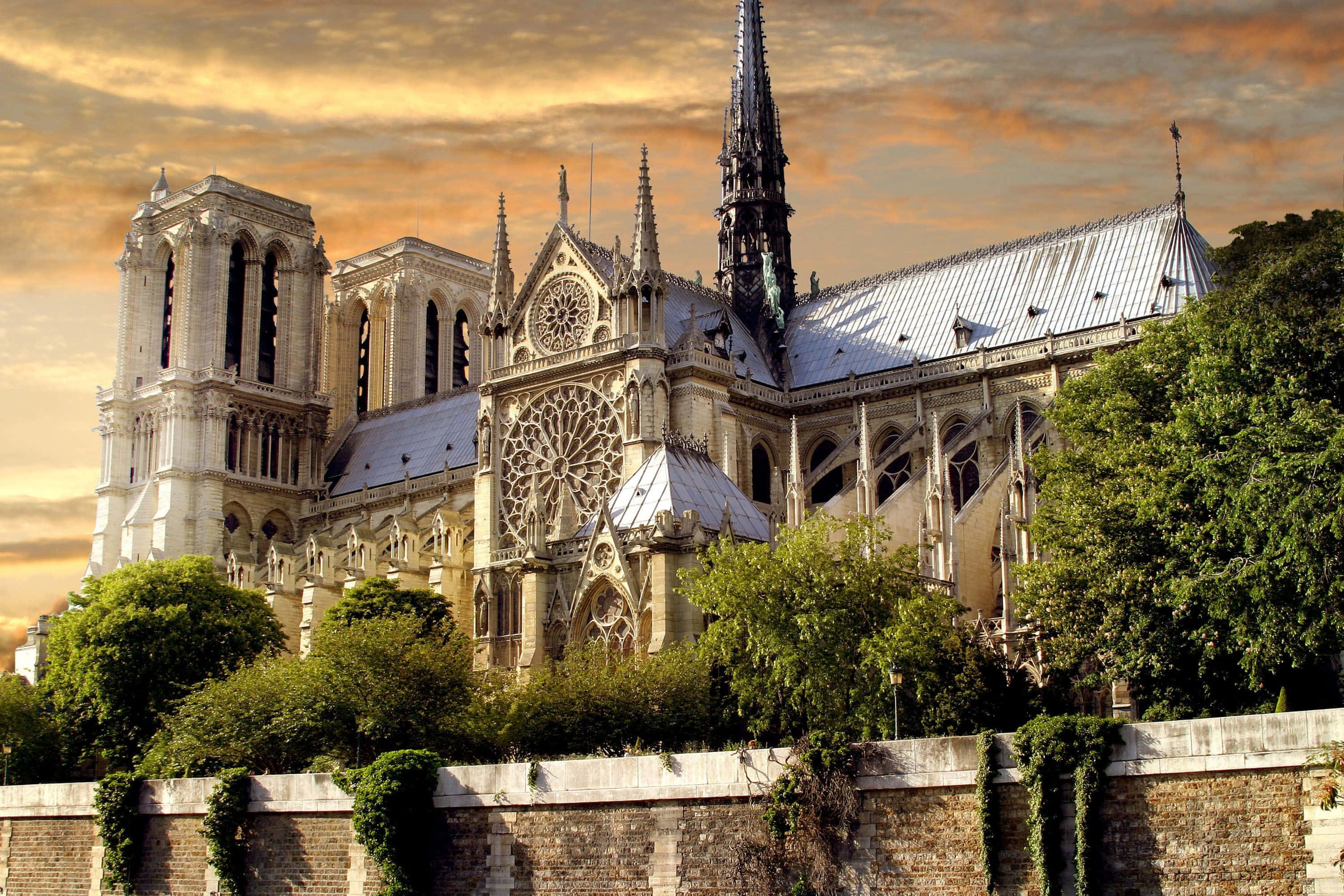 Notre Dame 桌布 壁紙 — 巴黎聖母院沐浴在金色的日落光芒中，茂密的綠樹襯托出其複雜的哥德式建築。