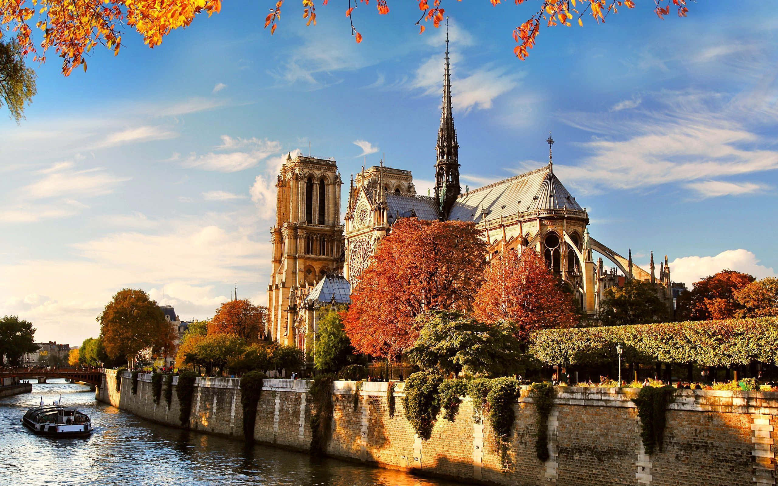 France 桌布 壁紙 — 巴黎聖母院雄偉地矗立在河邊，藍天下秋葉環繞著場景。