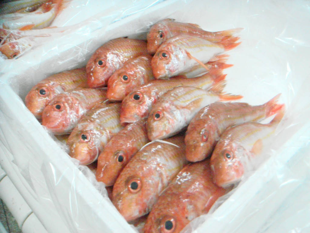 釣魚 桌布 壁紙 — 市場中白色塑膠內襯容器中堆疊的新鮮粉紅色魚，帶有閃閃發光的鱗片。