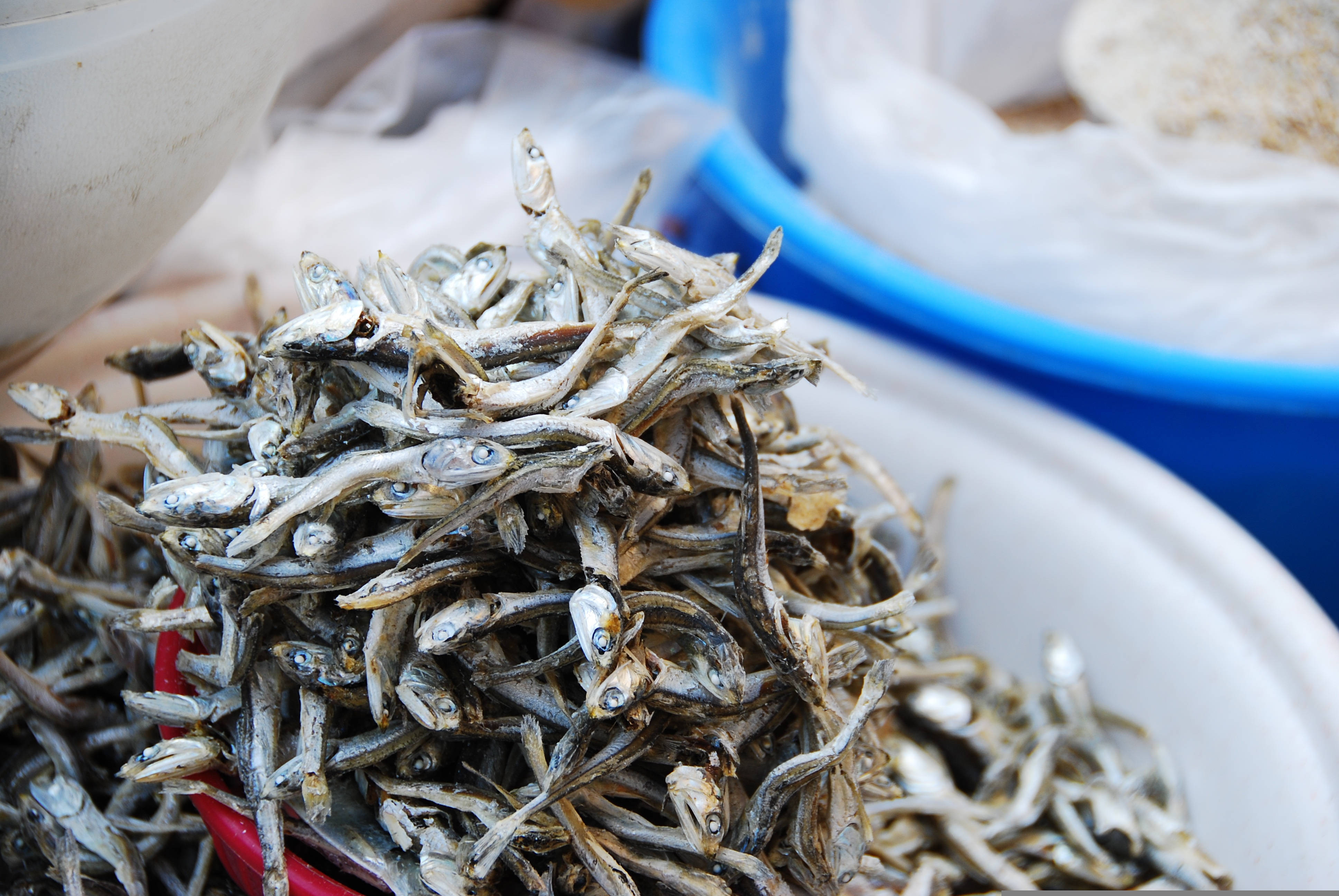 魚 桌布 壁紙 — 市場碗中一堆近距離拍攝的乾鳳尾魚，閃爍著鹽光。
