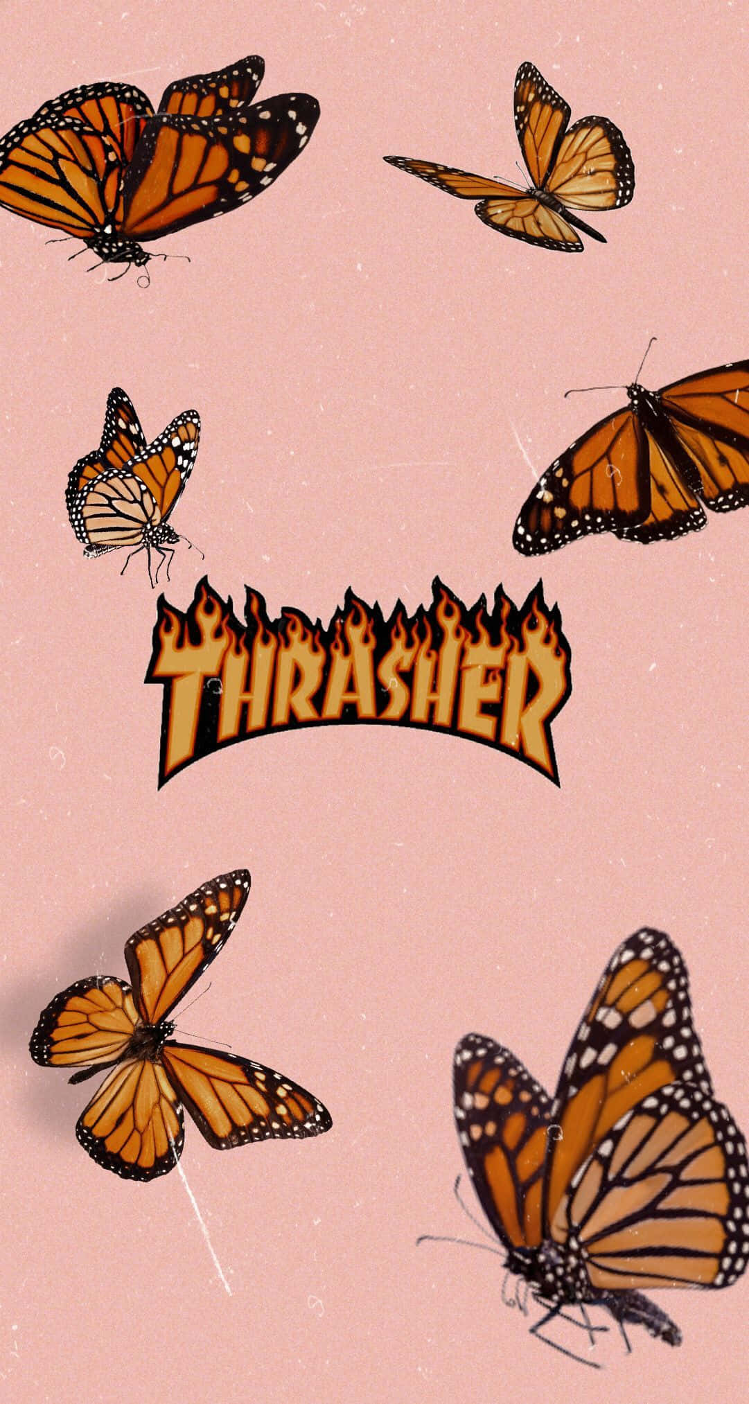 Thrasher 桌布 壁紙 — 帝王斑蝶在柔軟粉紅色紋理背景上圍繞著火焰般的 Thrasher 標誌飛舞。