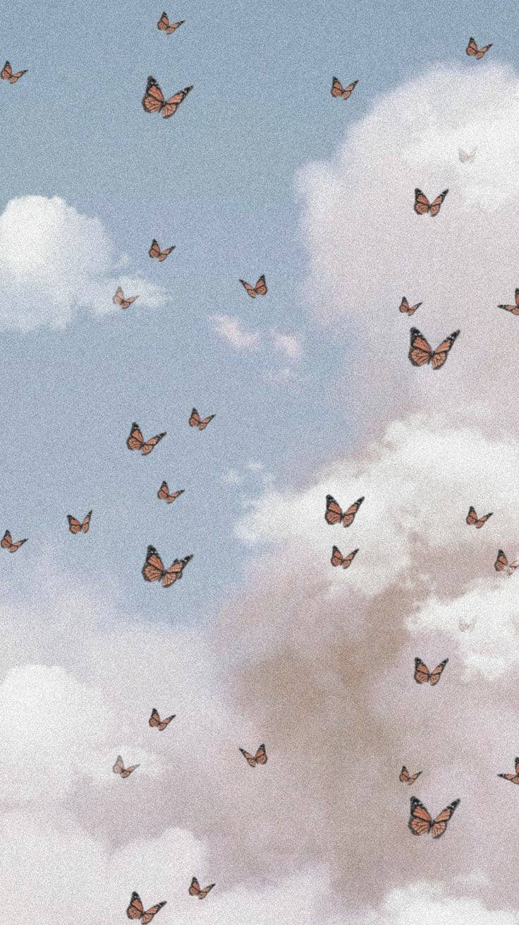 蝴蝶在蓬鬆的雲朵間飛翔，天空柔和。 — 柔和美學 GIF 壁紙