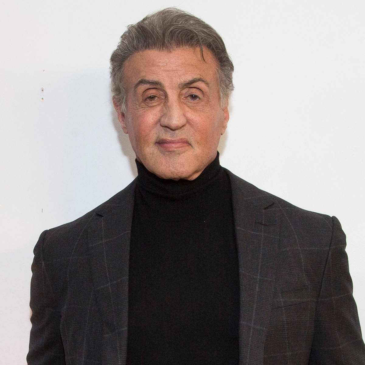 Celebrity 桌布 壁紙 — 席維斯史特龍自信地站在純白色背景前，身穿深色格紋西裝外套，內搭黑色高領衫。