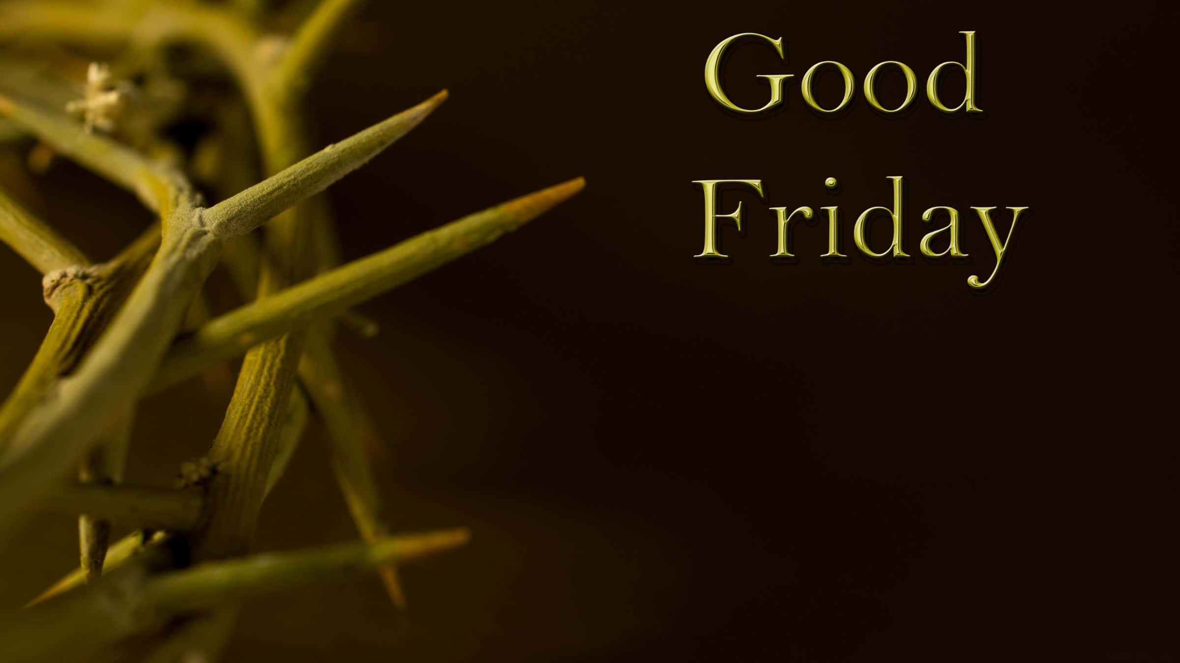 Good Friday 桌布 壁紙 — 帶刺的綠色樹枝特寫，'Good Friday' 文字在黑暗背景上柔和發光。