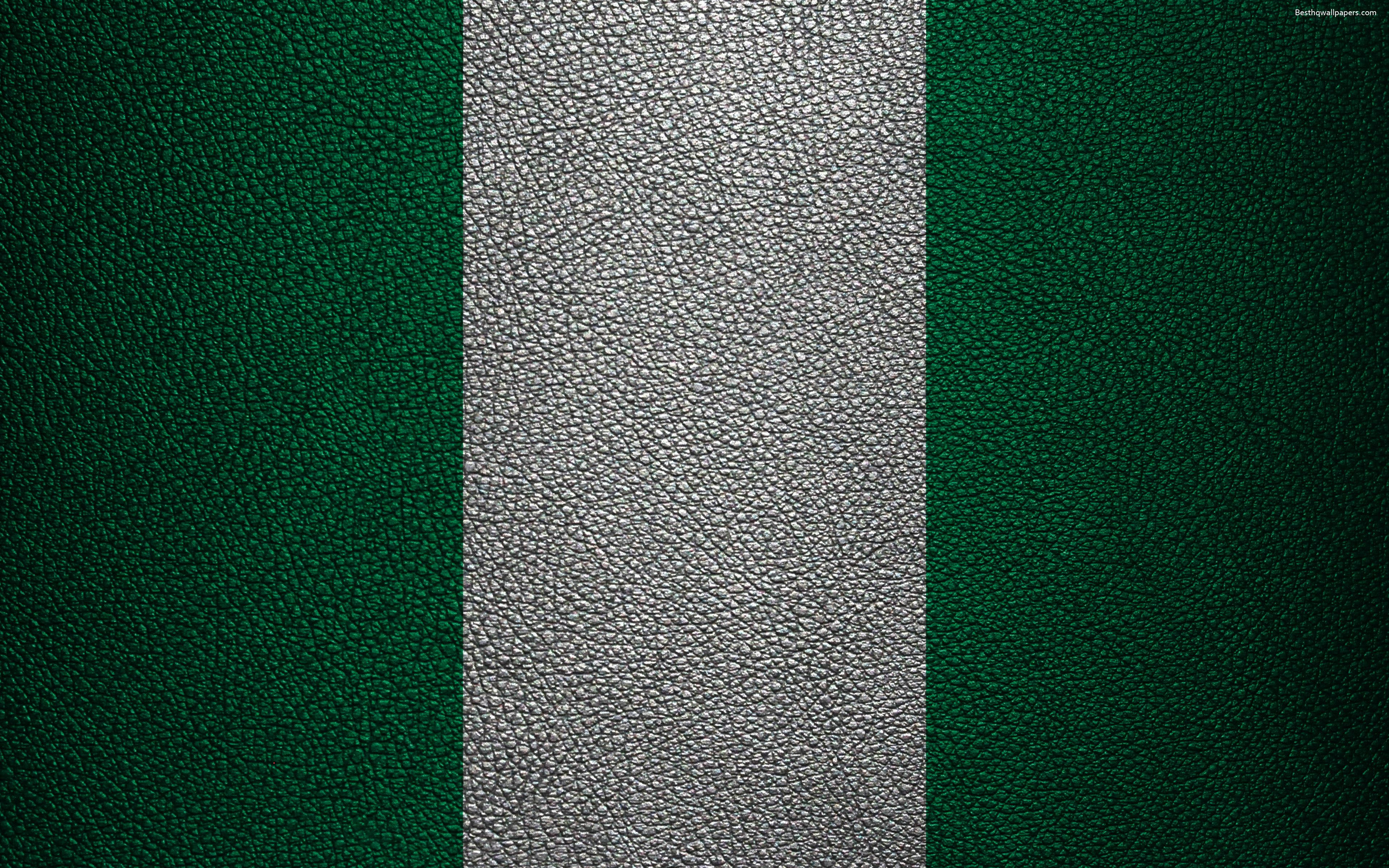 Nigeria 桌布 壁紙 — 帶有垂直綠色和銀色條紋的紋理皮革表面特寫。