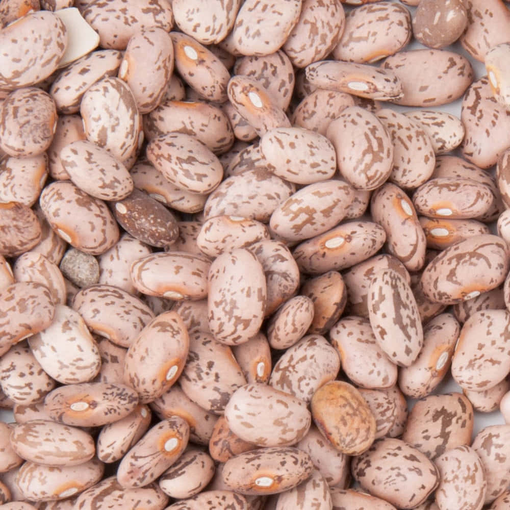 beans 桌布 壁紙 — 帶有奶油色高光和自然紋理的斑點米色和棕色豆的特寫。