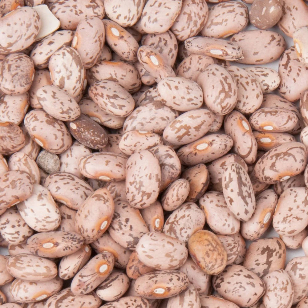 beans 桌布 壁紙 — 帶有奶油色高光的斑點米色和棕色豆子緊密堆疊的特寫。