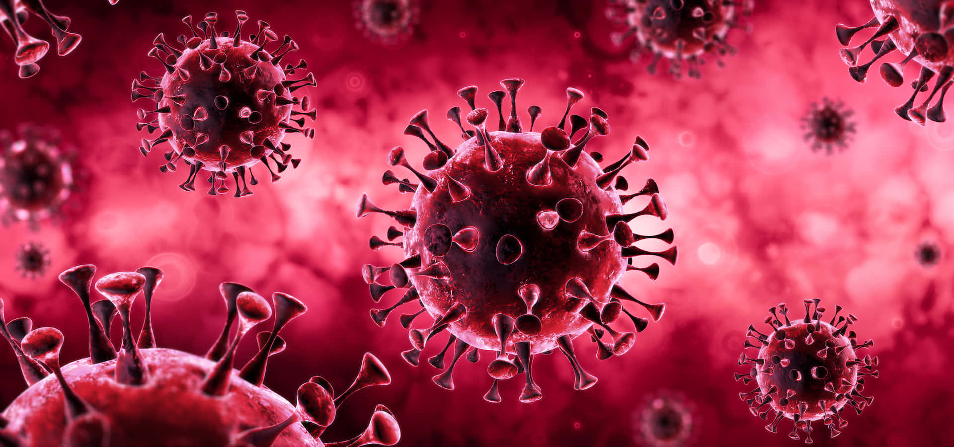 Coronavirus 桌布 壁紙 — 帶有尖刺突起的浮動病毒粒子在發光的紅色抽象背景中漂流。