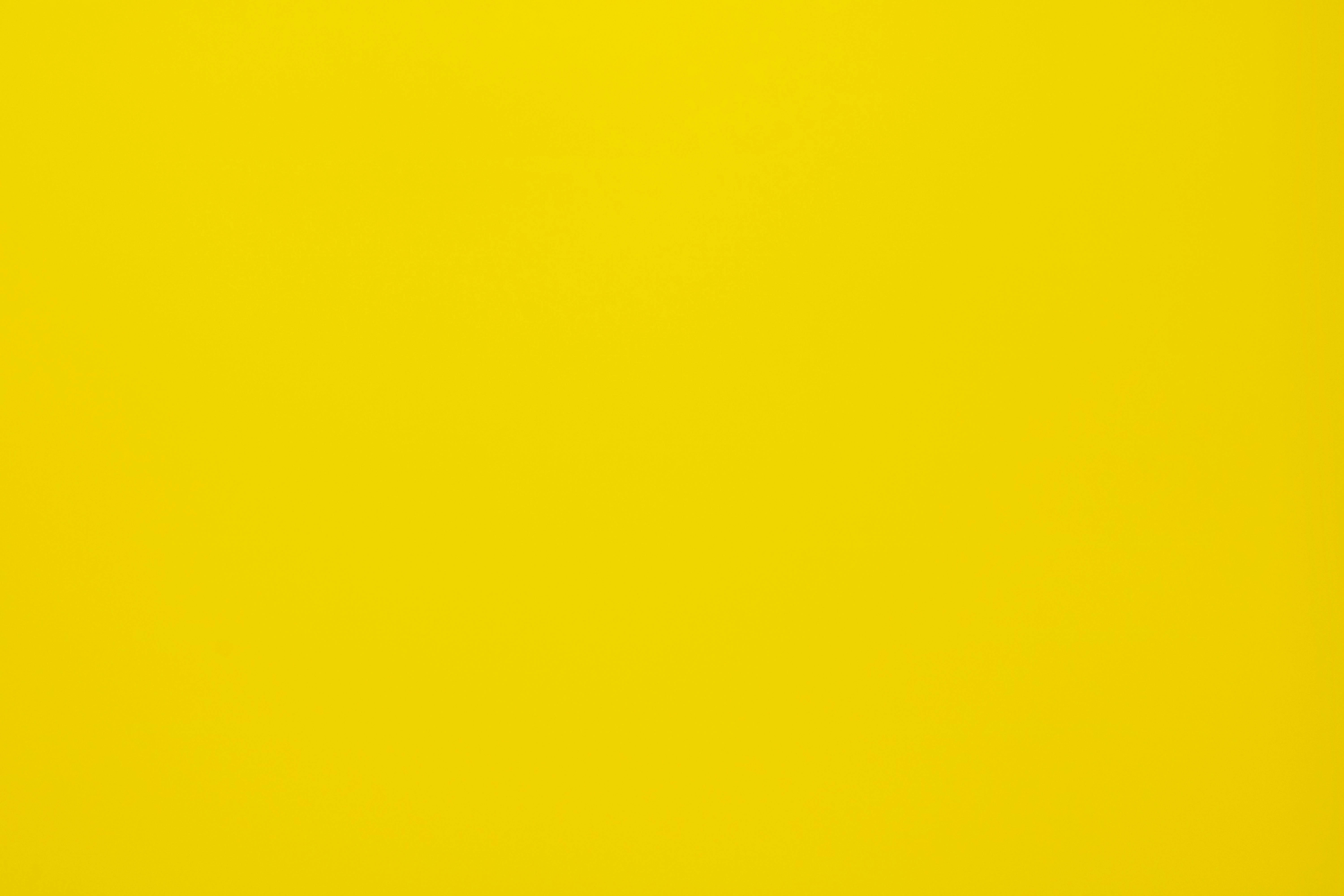 the yellow 桌布 壁紙 — 帶有微妙漸變和柔和光線的純色鮮黃色紋理背景。