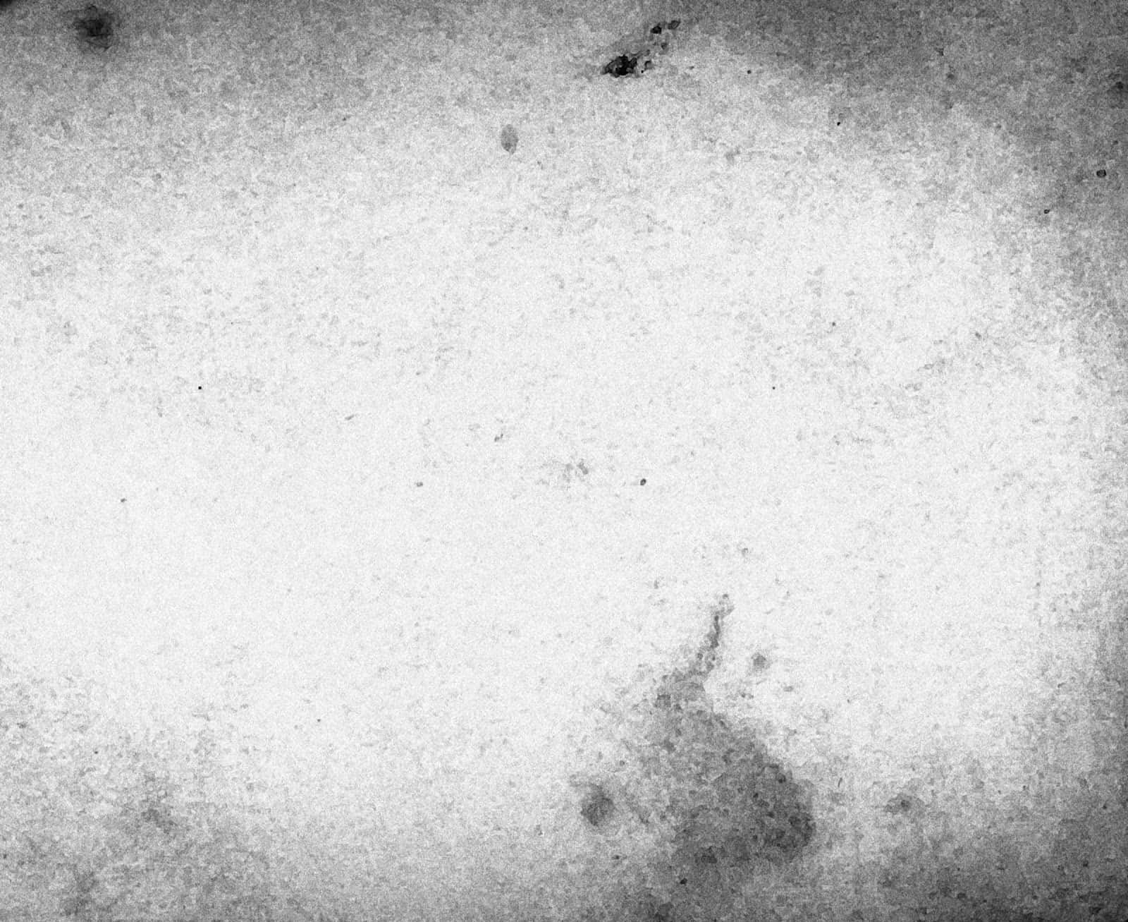 White Grunge 桌布 壁紙 — 帶有斑駁磨損和褪色墨水污漬的紋理單色抽象表面，位於舊紙上。