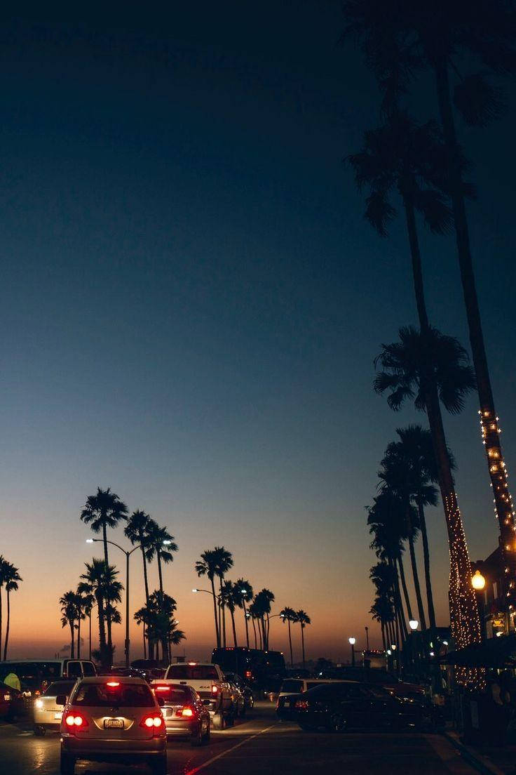 Venice Beach 桌布 壁紙 — 帶有發光尾燈的汽車在高大的棕櫚樹下行駛，暮色將天空染成深藍和橙色的色調。