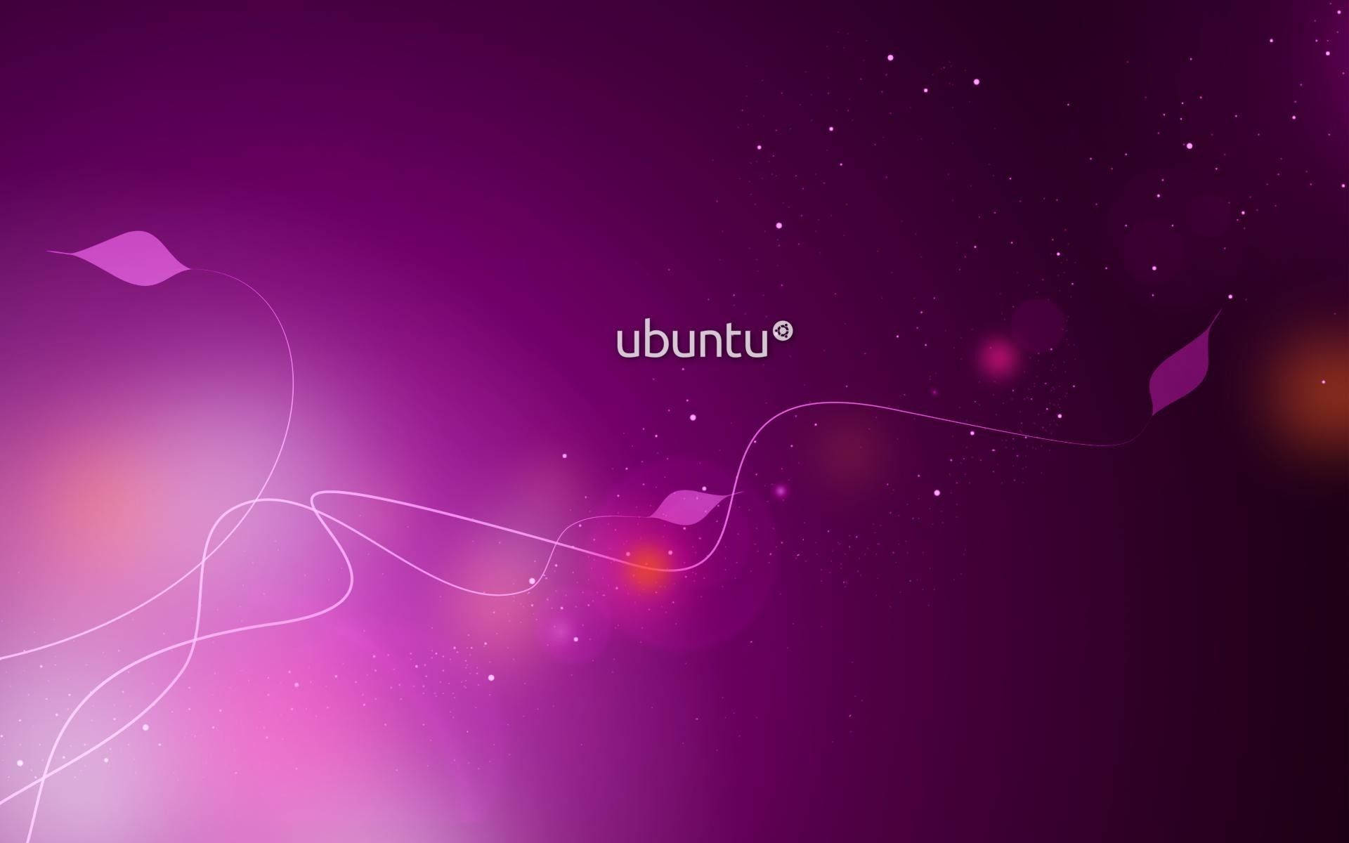 ubuntu 桌布 壁紙 — 帶有發光白線和葉形狀圍繞Ubuntu標誌旋轉的宇宙紫色漸變壁紙。