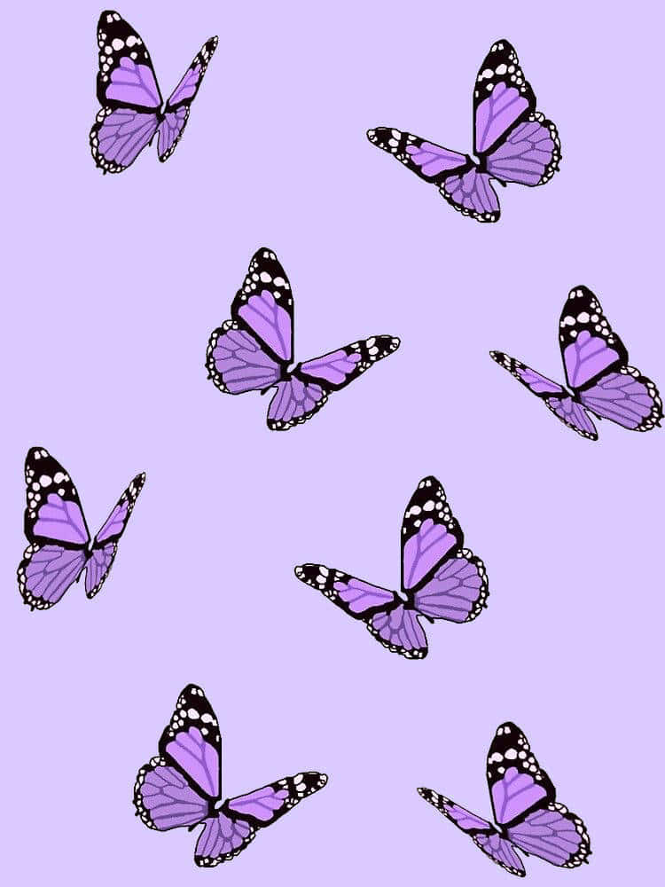 Purple Butterfly iPhone 桌布 壁紙 — 帶有白色斑點的紫色和黑色蝴蝶在柔和的薰衣草背景上優雅地飛舞。