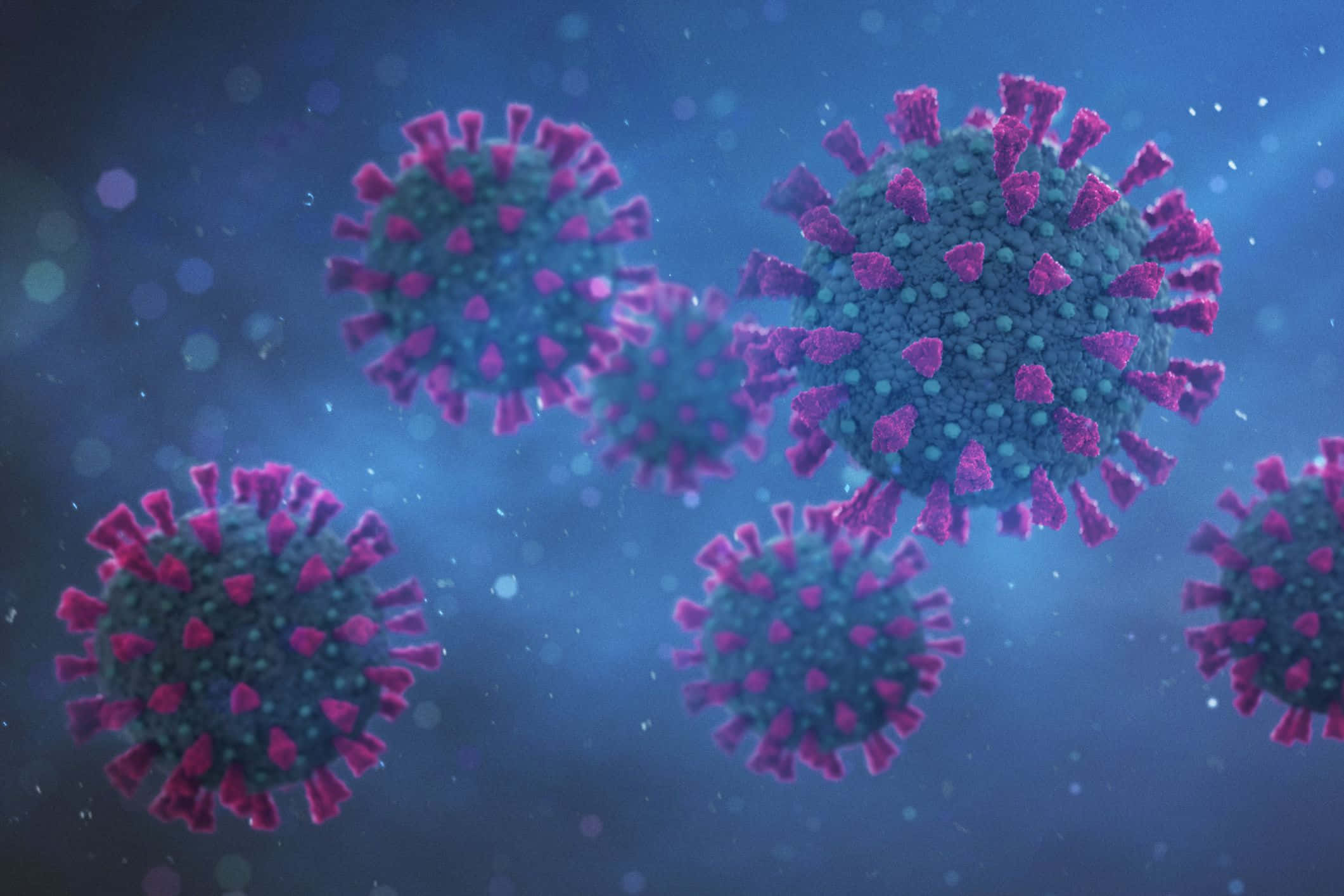 Coronavirus 桌布 壁紙 — 帶有紫色刺突蛋白的球形病毒粒子漂浮在藍色朦朧背景中。