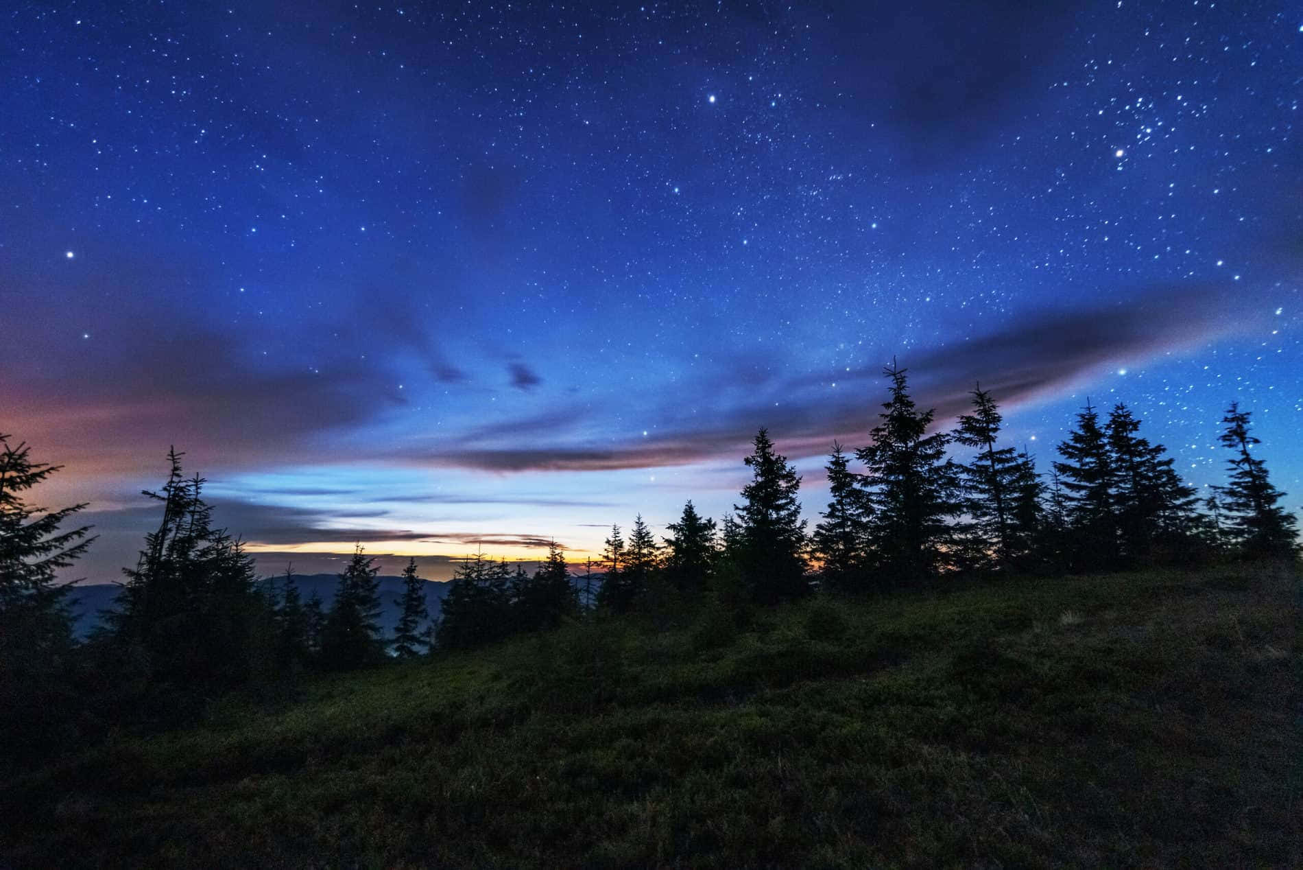 Landscapes 桌布 壁紙 — 帶有紫色和藍色色調的星空暮色天空，在長滿草的山丘上的松樹剪影上方發光。
