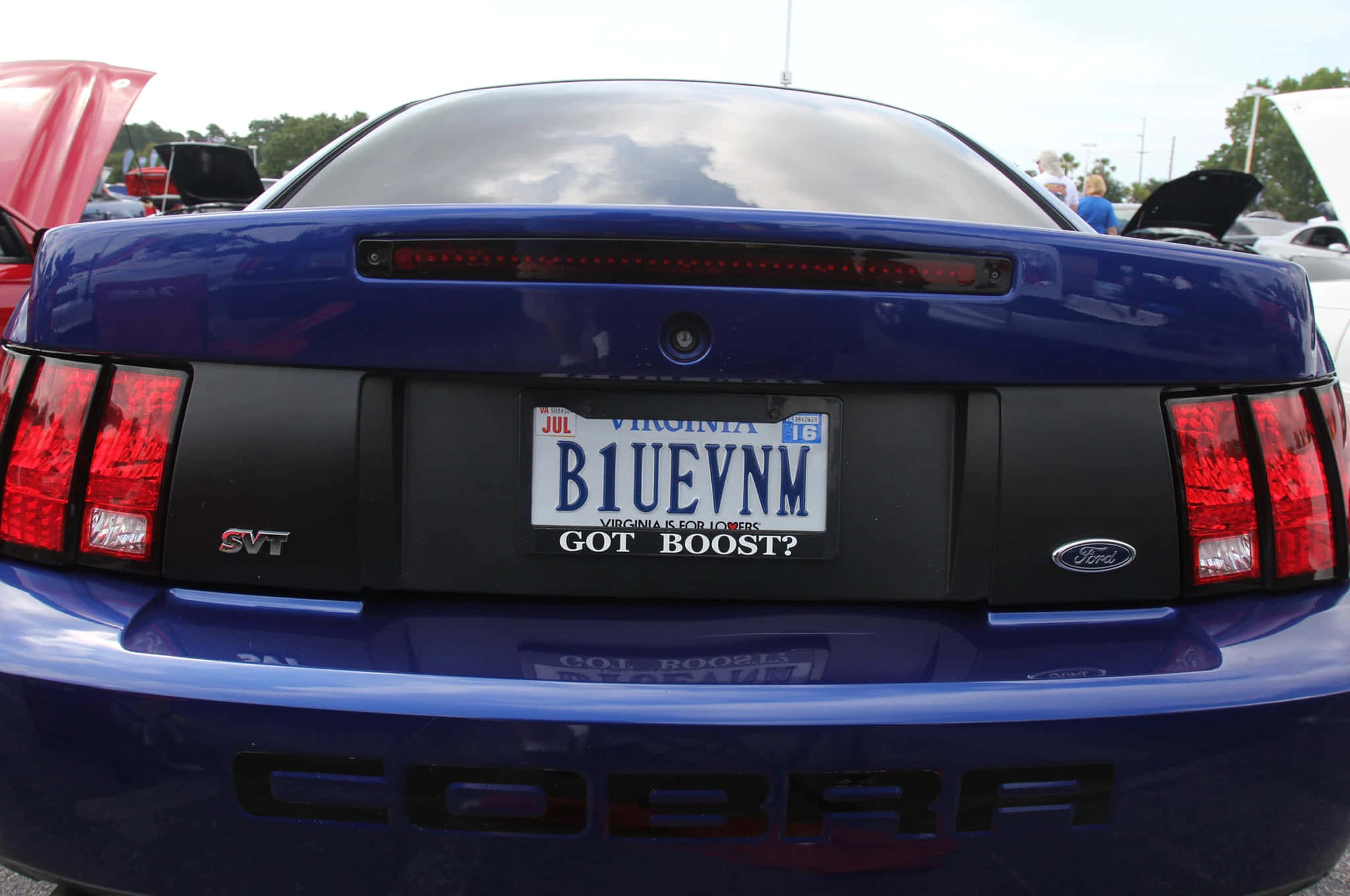 Car License Plate 桌布 壁紙 — 帶有維吉尼亞州車牌和「GOT BOOST?」貼紙的亮藍色福特野馬眼鏡蛇的後視圖。