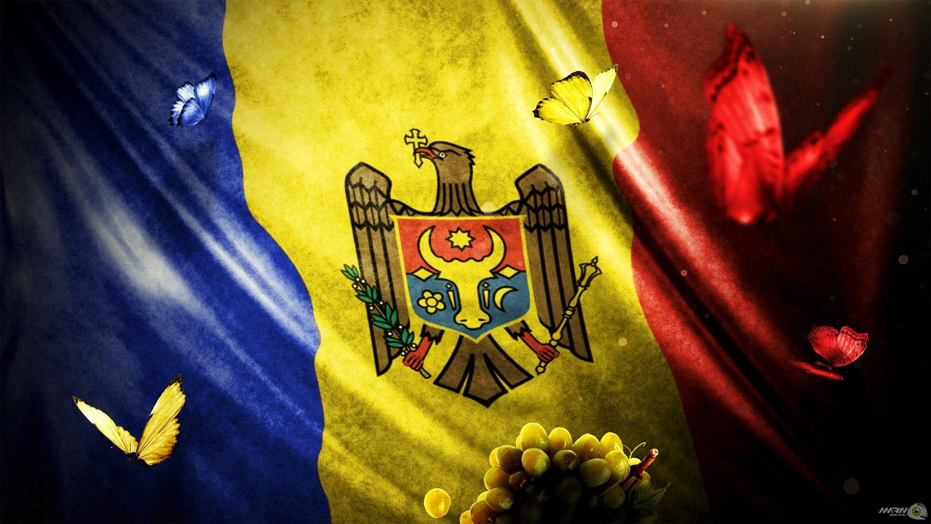 Moldova 桌布 壁紙 — 帶有蝴蝶和葡萄的紋理摩爾多瓦國旗，背景為深色宇宙。
