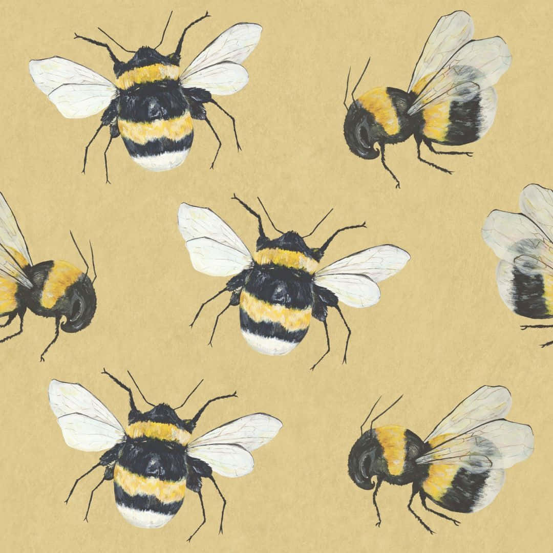 bees 桌布 壁紙 — 帶有黑色和黃色條紋的插圖大黃蜂在帶有紋理的米色背景上飛翔。