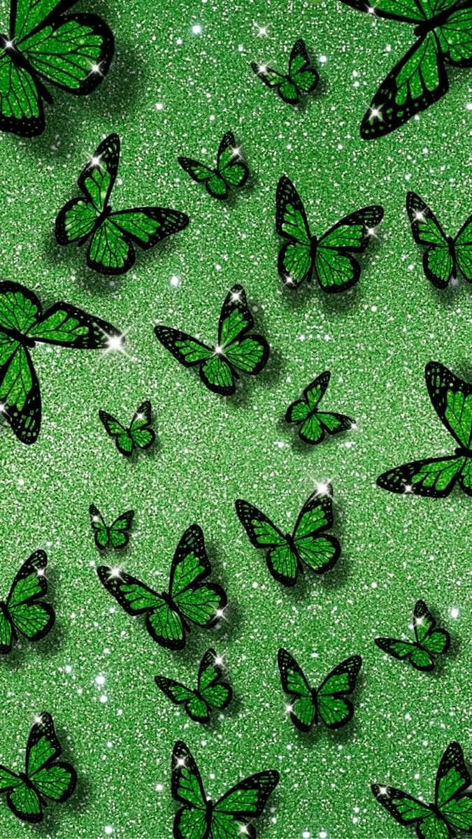 Green Butterfly 桌布 壁紙 — 帶有黑色輪廓的綠色蝴蝶在閃閃發光的綠色背景上飛舞。