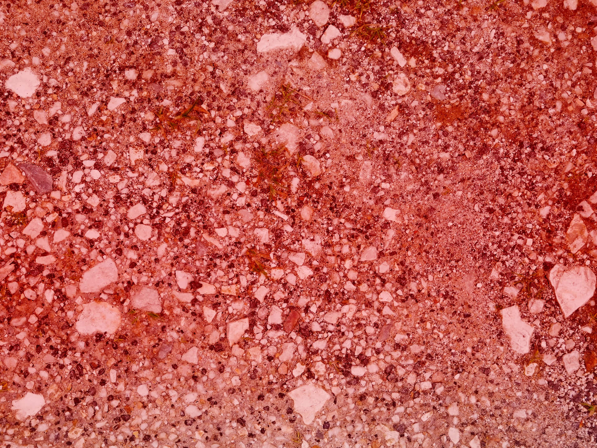 Red stone texture 壁紙 — 帶紋理的紅色水磨石表面特寫，散佈著淺粉紅色和白色的骨料碎片。