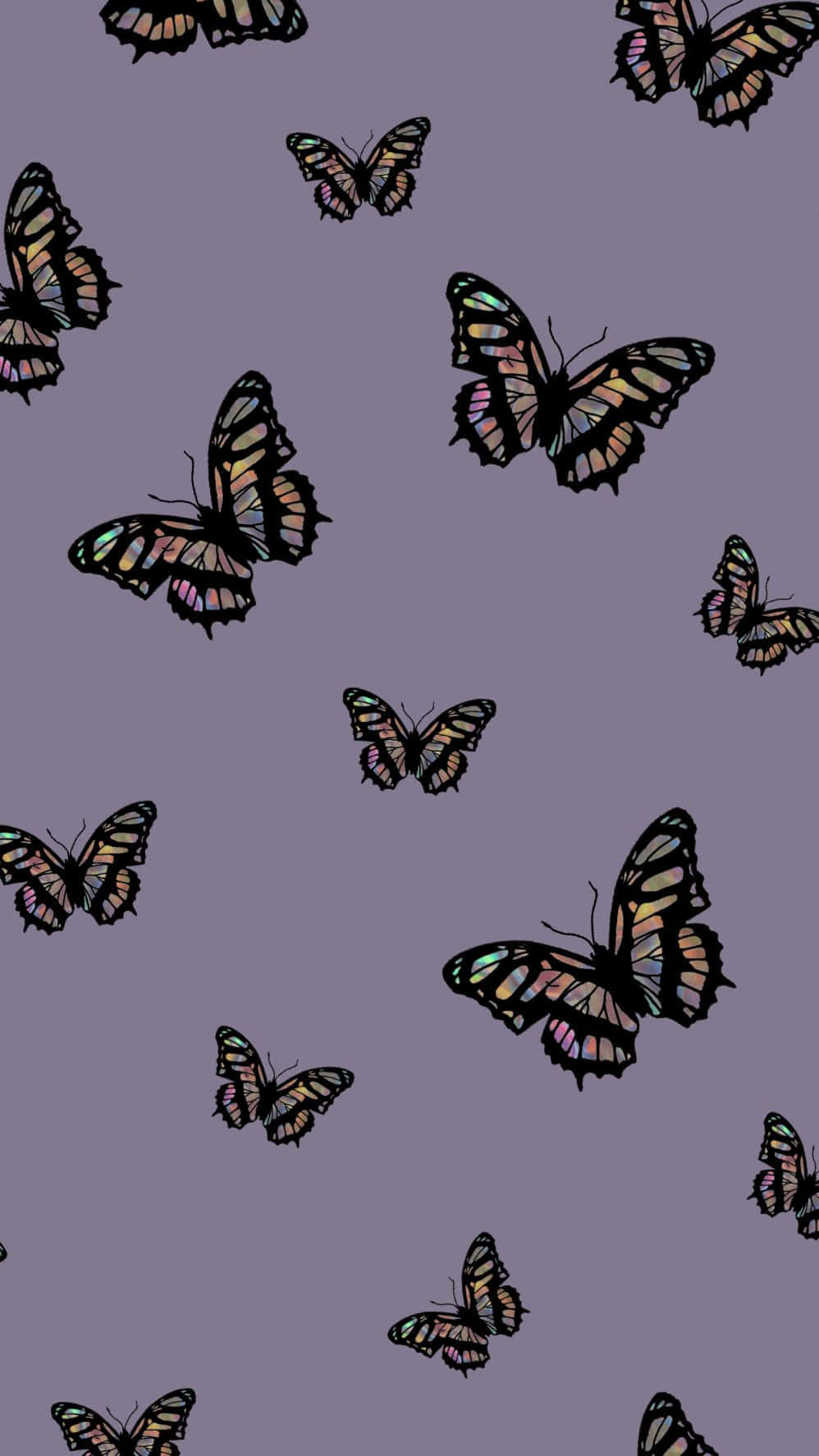 Purple Butterfly iPhone 桌布 壁紙 — 帶黑色輪廓的彩虹色蝴蝶在純薰衣草背景上以重複圖案飛舞。