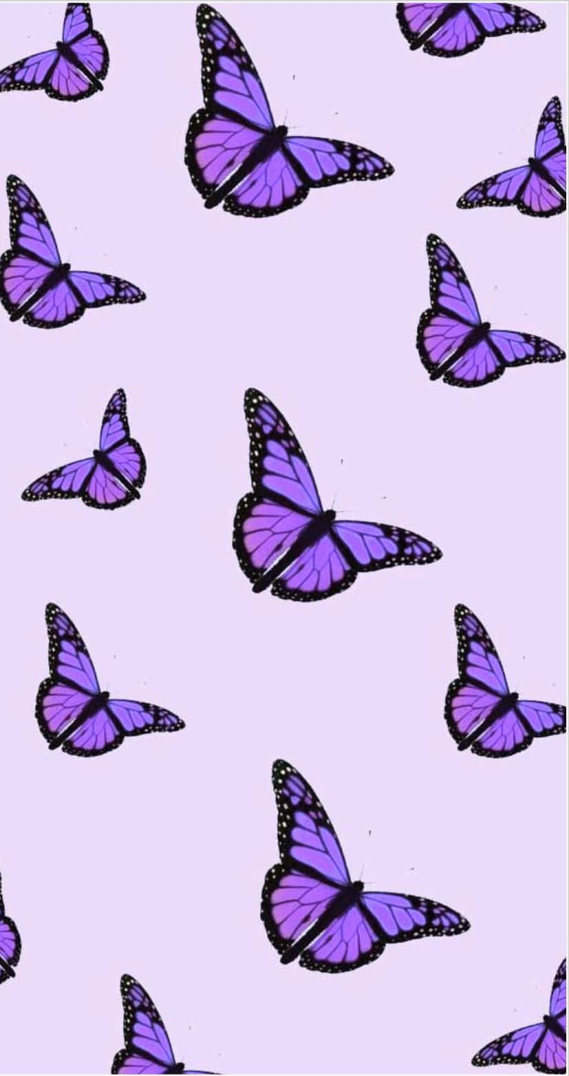 Purple Butterfly iPhone 桌布 壁紙 — 帶黑色輪廓的紫色蝴蝶在柔和的薰衣草背景上以重複圖案飛舞。