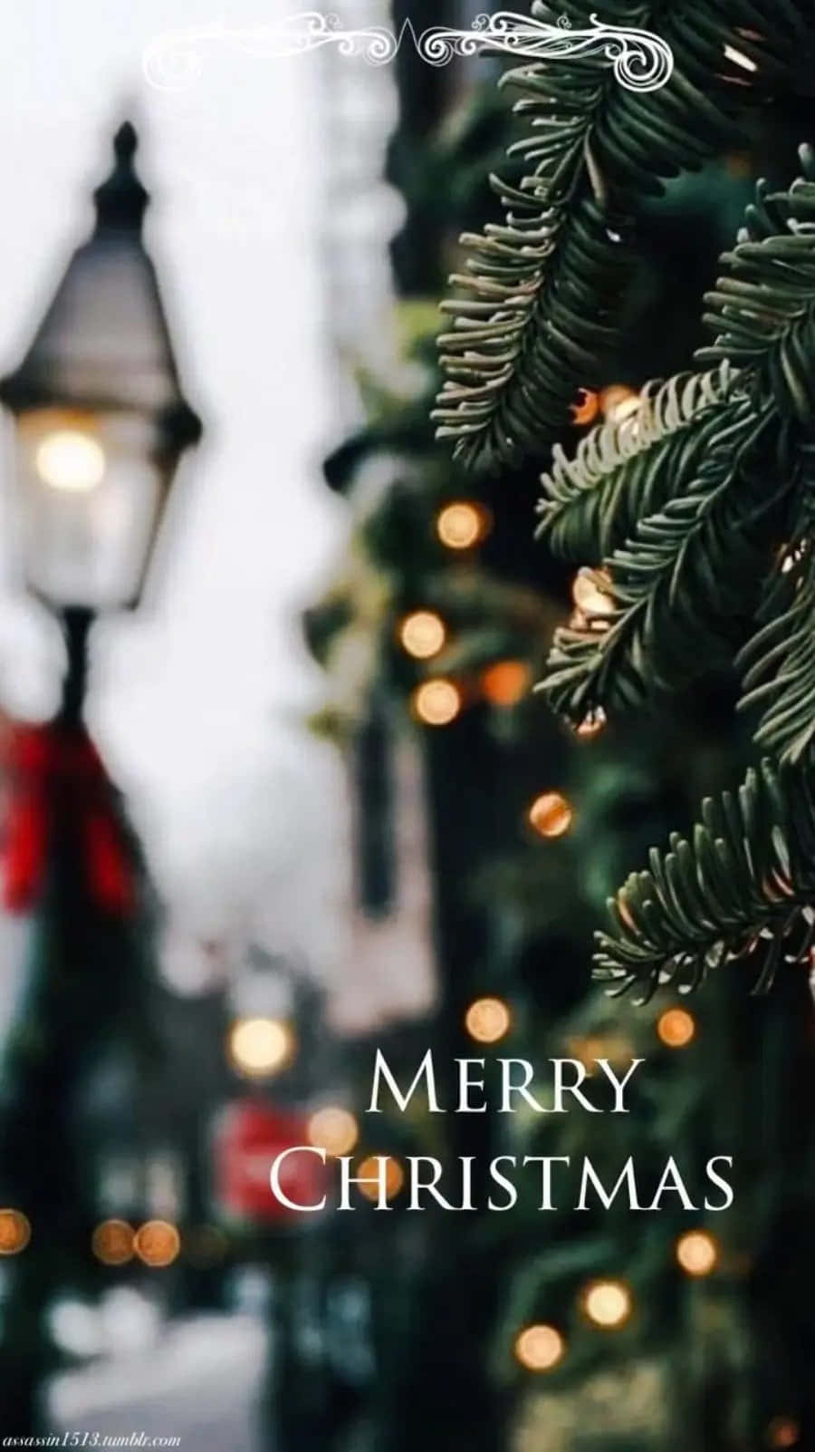Tumblr Christmas 桌布 壁紙 — 常綠松樹枝的特寫，帶有溫暖的散景燈光和後方柔焦的復古街燈。