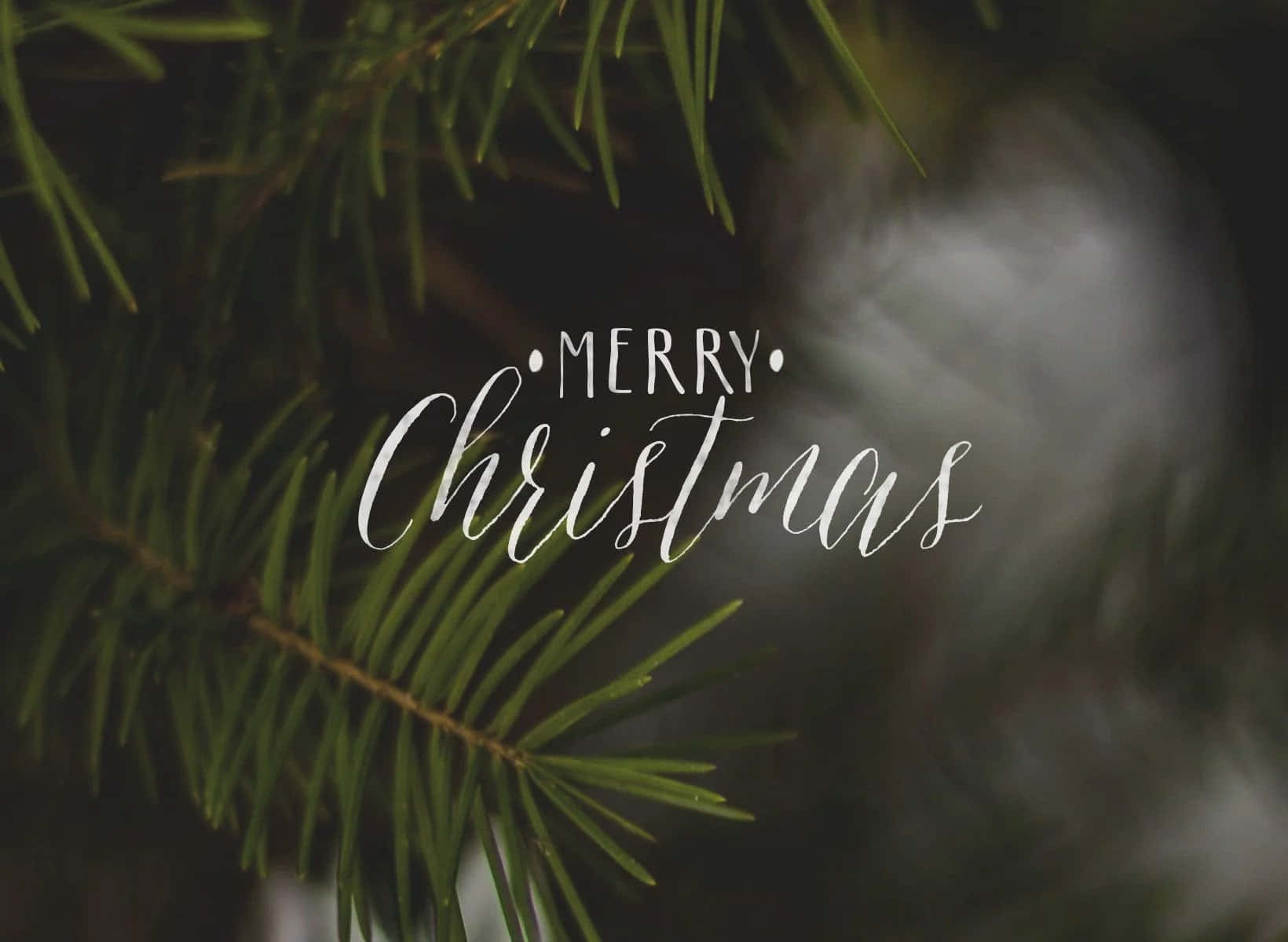 聖誕快樂 桌布 壁紙 — 常綠松針的特寫，優雅的白色草書 'Merry Christmas' 文字疊加在柔和的模糊背景上。