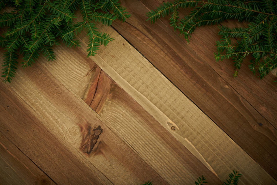 Wood Texture 桌布 壁紙 — 常綠樹枝框住一個帶有可見木紋和節疤的質樸木質表面，呈現溫暖的大地色調。