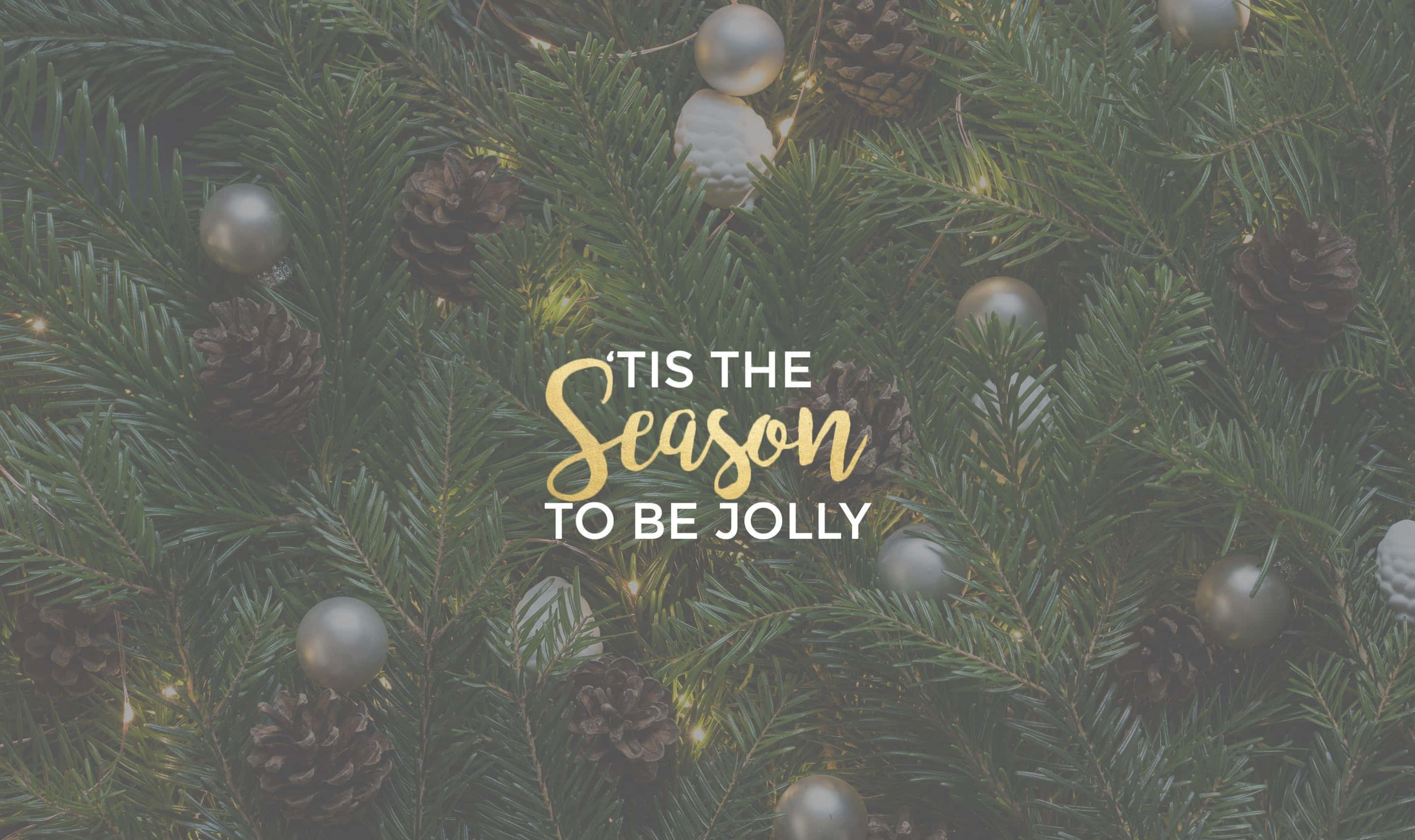 Tumblr Christmas 桌布 壁紙 — 常綠樹枝的特寫，裝飾著松果和銀色飾品，柔和地閃爍著仙女燈光。