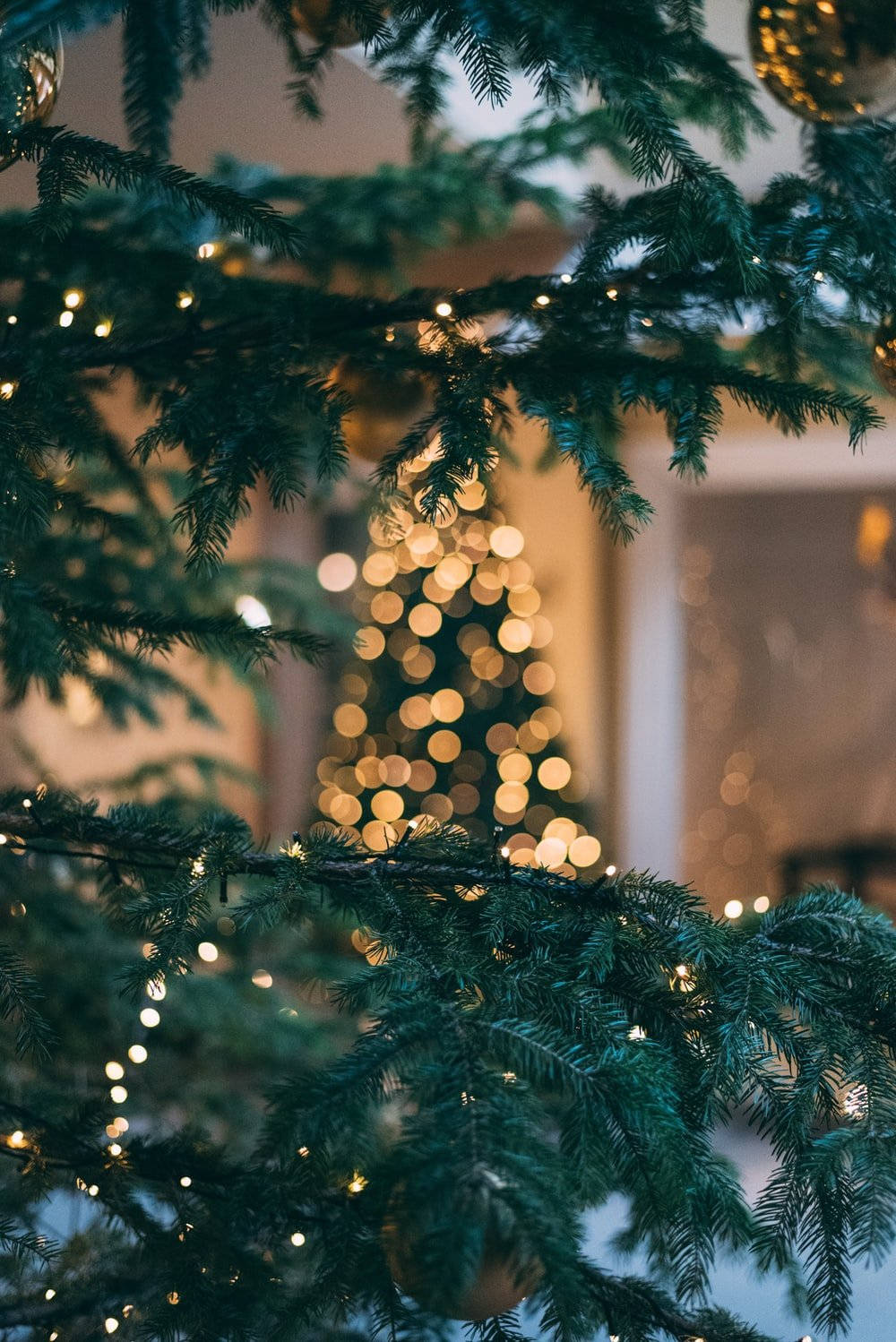 Christmas Lights Aesthetic 桌布 壁紙 — 常綠樹枝的特寫，點綴著閃爍的仙女燈，框住一個在溫暖散景中柔和模糊的聖誕樹。