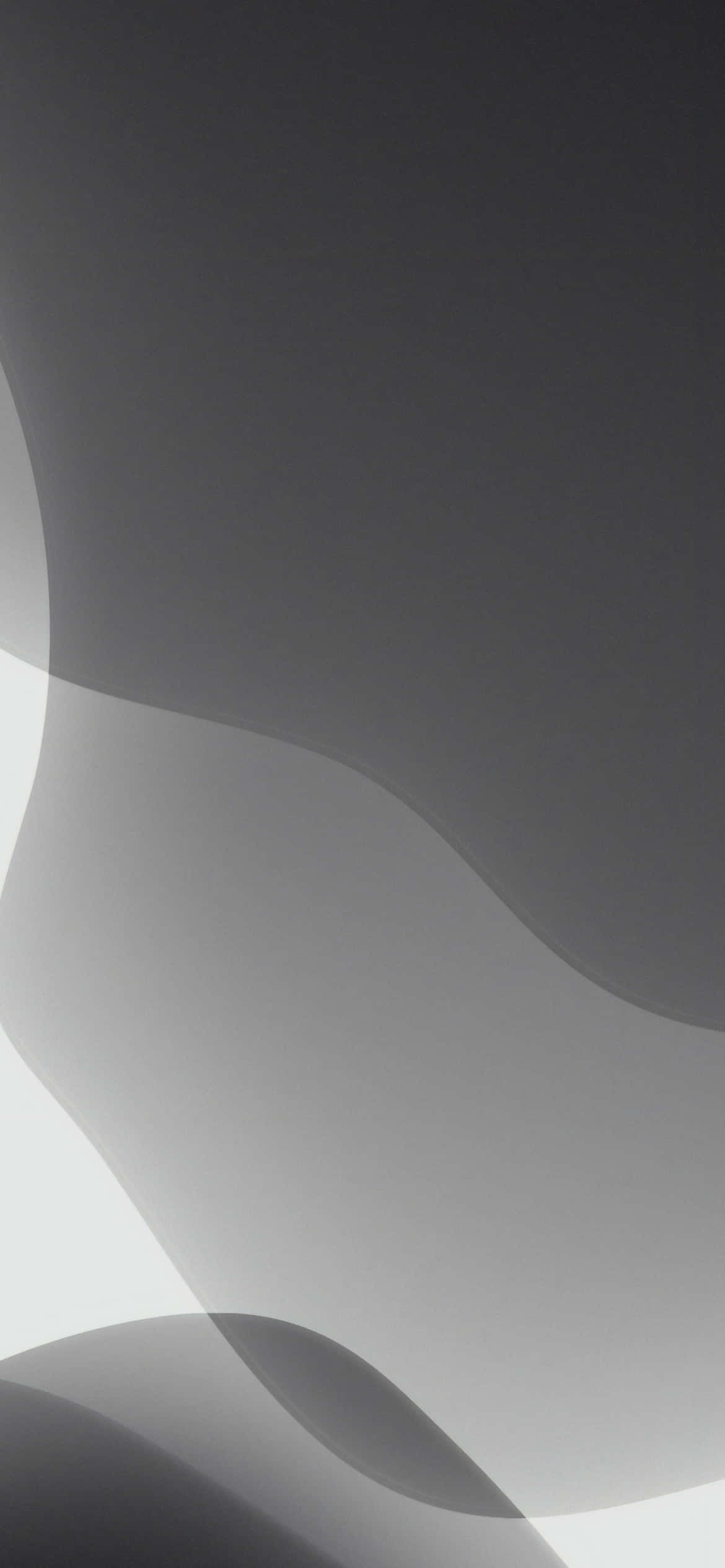 Gray Aesthetic 桌布 壁紙 — 平滑的抽象灰階波浪在極簡數位畫布上輕輕流動。