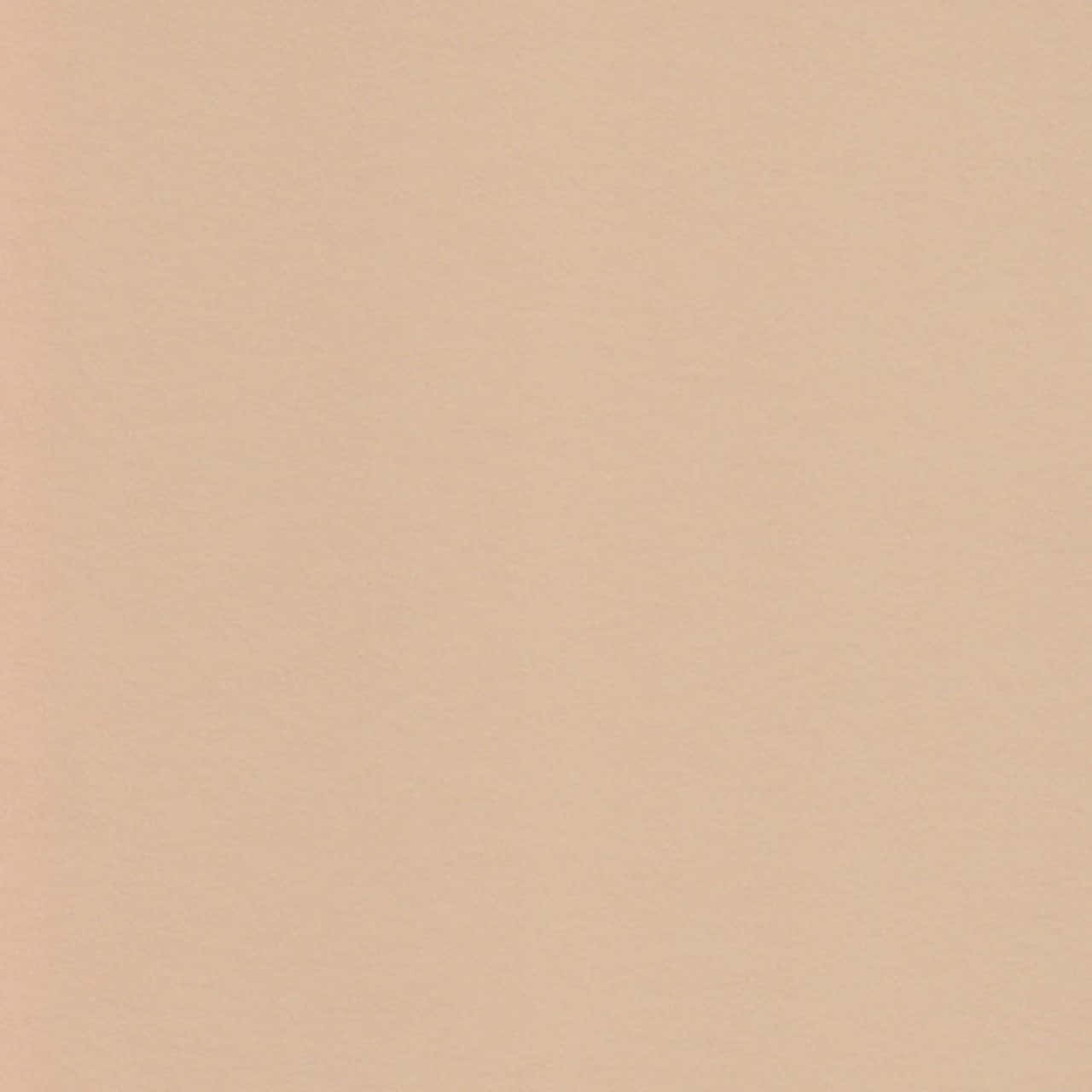 Neutral Color 桌布 壁紙 — 平滑米色紋理表面，帶有細微均勻紋理和柔軟霧面飾面。