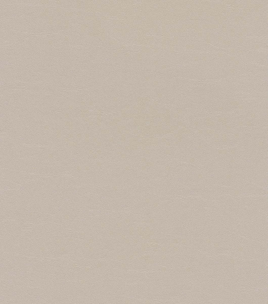 Earth Tones 桌布 壁紙 — 平滑米色紋理表面的特寫，帶有細微的顆粒圖案。