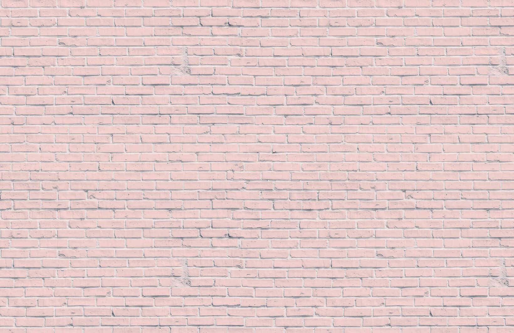 Pink Brick 桌布 壁紙 — 平滑粉紅磚牆的特寫，帶有微妙的灰色砂漿線條和柔和光線。