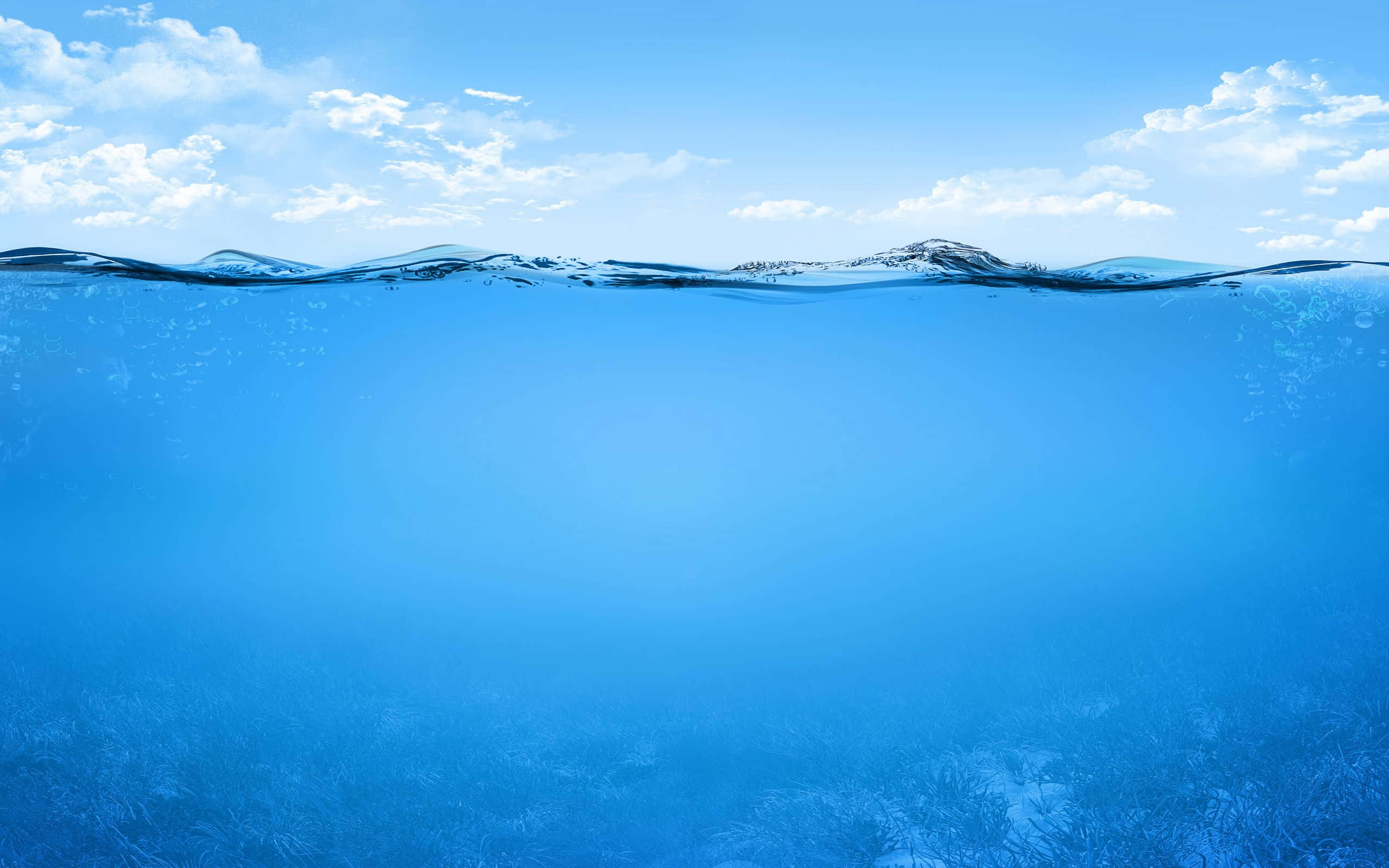 水 桌布 壁紙 — 平靜海水分割視圖，上有清澈藍天，下有水下草叢。