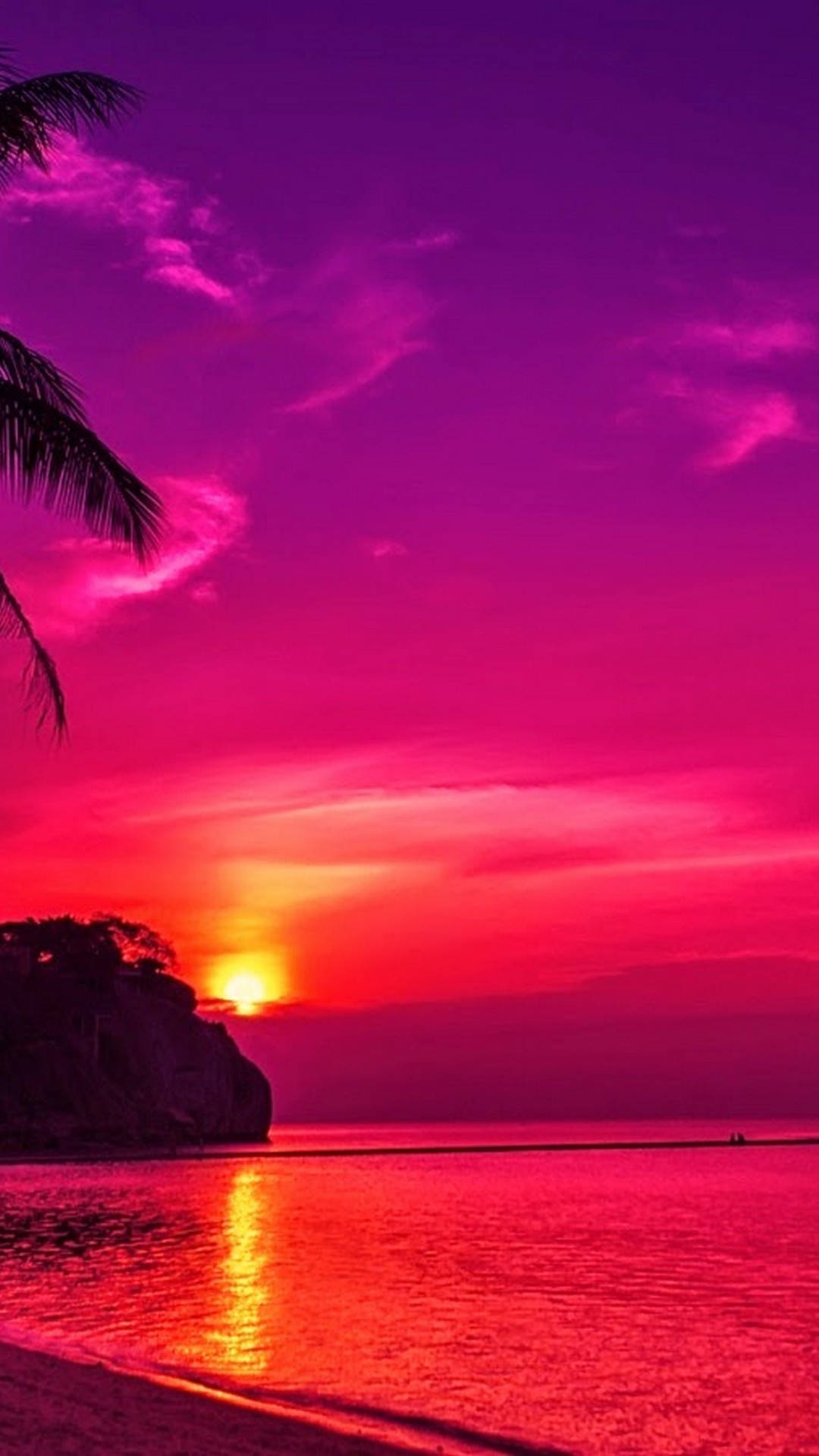 夕陽天空 桌布 壁紙 — 平靜海洋上充滿活力的粉紅色和紫色日落，棕櫚葉在火紅的天空中形成剪影。