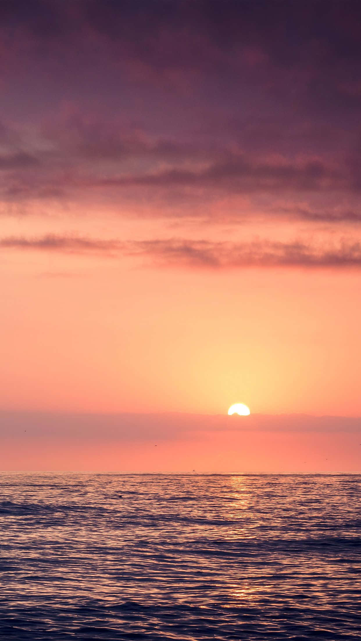 Sunset Beach iPhone 桌布 壁紙 — 平靜海洋上的寧靜日落，散發光芒的太陽與紫橙色天空。