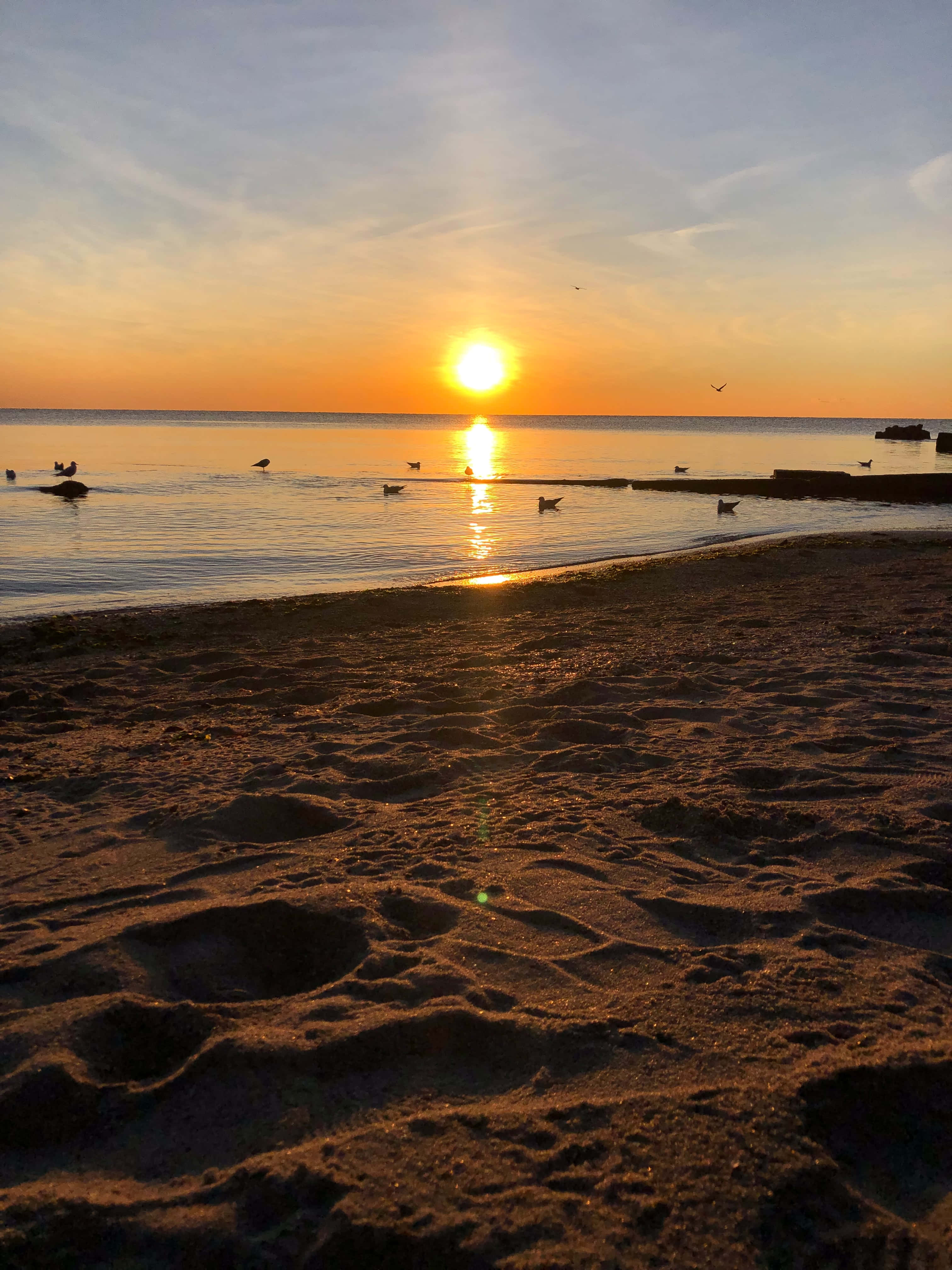 Sunset Beach 桌布 壁紙 — 平靜海洋上的日落，鳥兒在淺水中涉水，前景沙灘上的腳印。