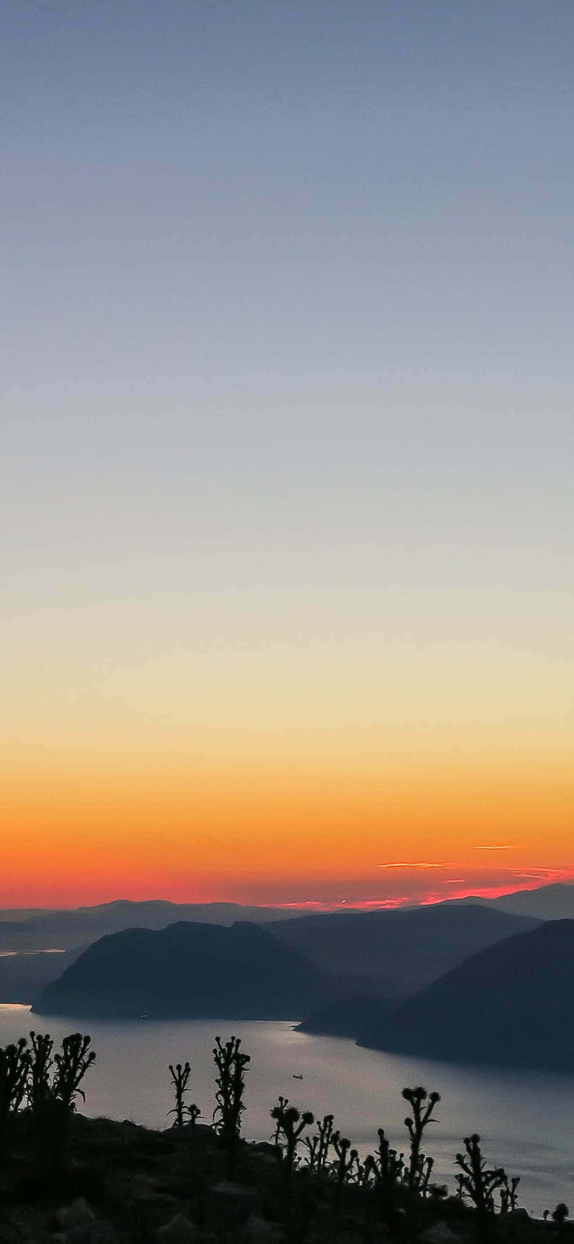 iPhone X California 桌布 壁紙 — 平靜海灣上的寧靜日落，前景有剪影山脈和仙人掌。