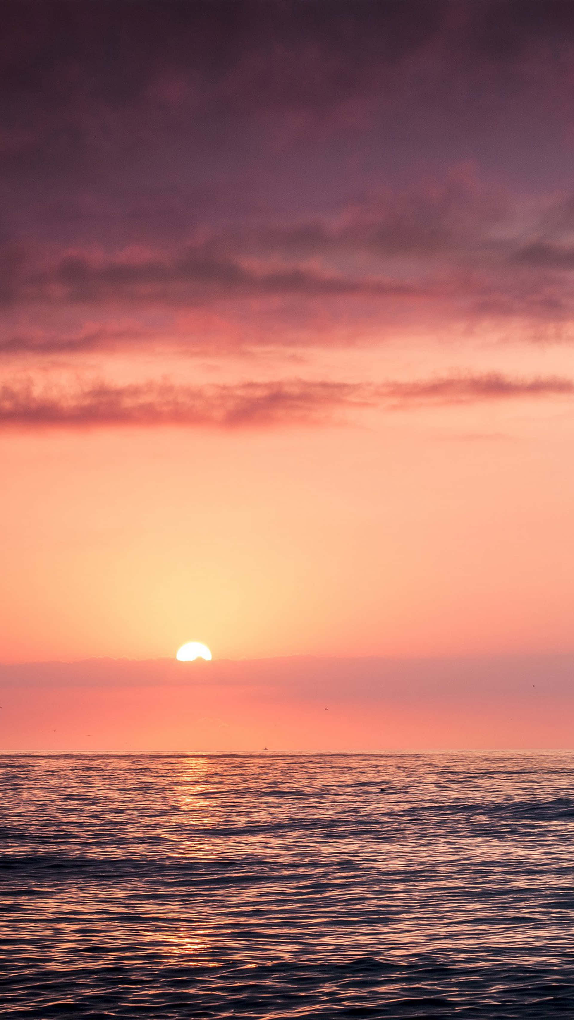 Pink Beach Sunset 桌布 壁紙 — 平靜海面上夕陽西下，散發光芒的太陽與充滿活力的粉橙色天空。